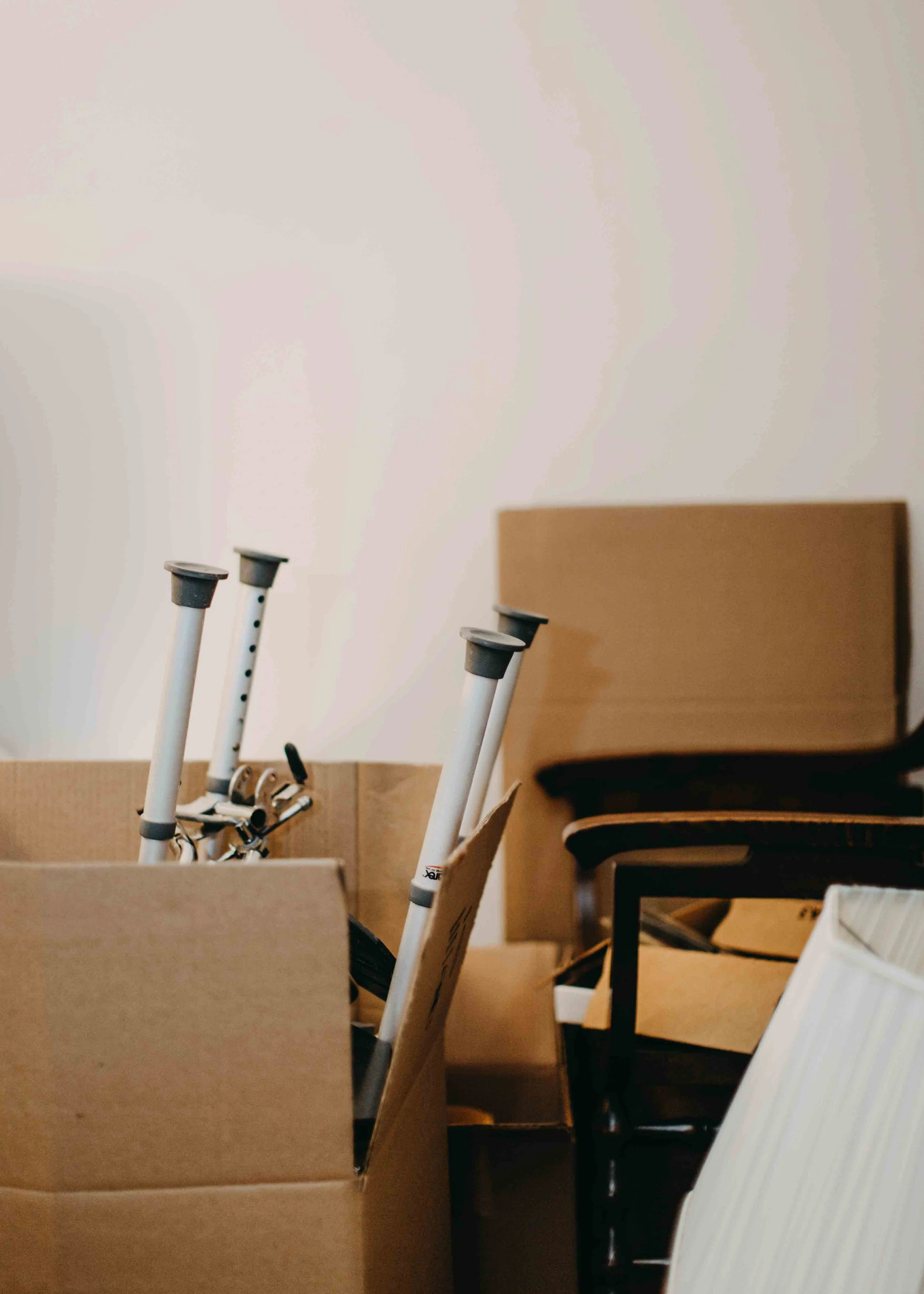 HannahHarleyBouleau_190217_HannahHarley -20190217-2019021717.jpg