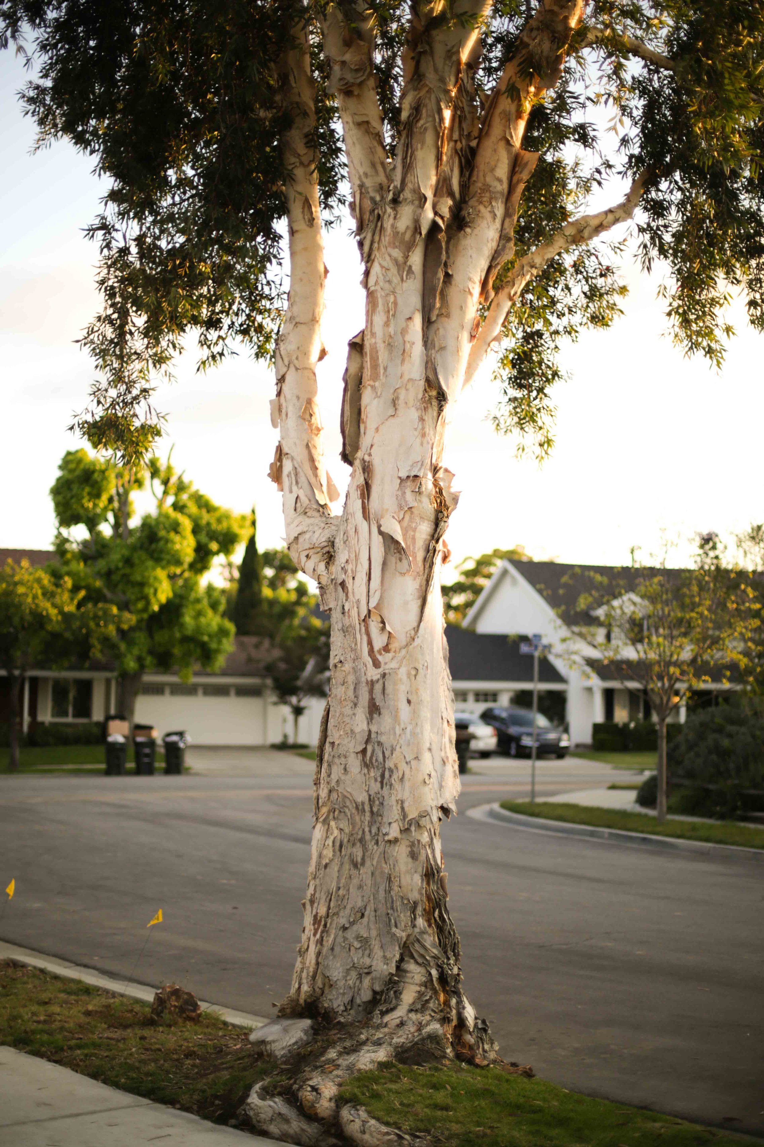 HannahHarley -20150520-7601HHB.jpg