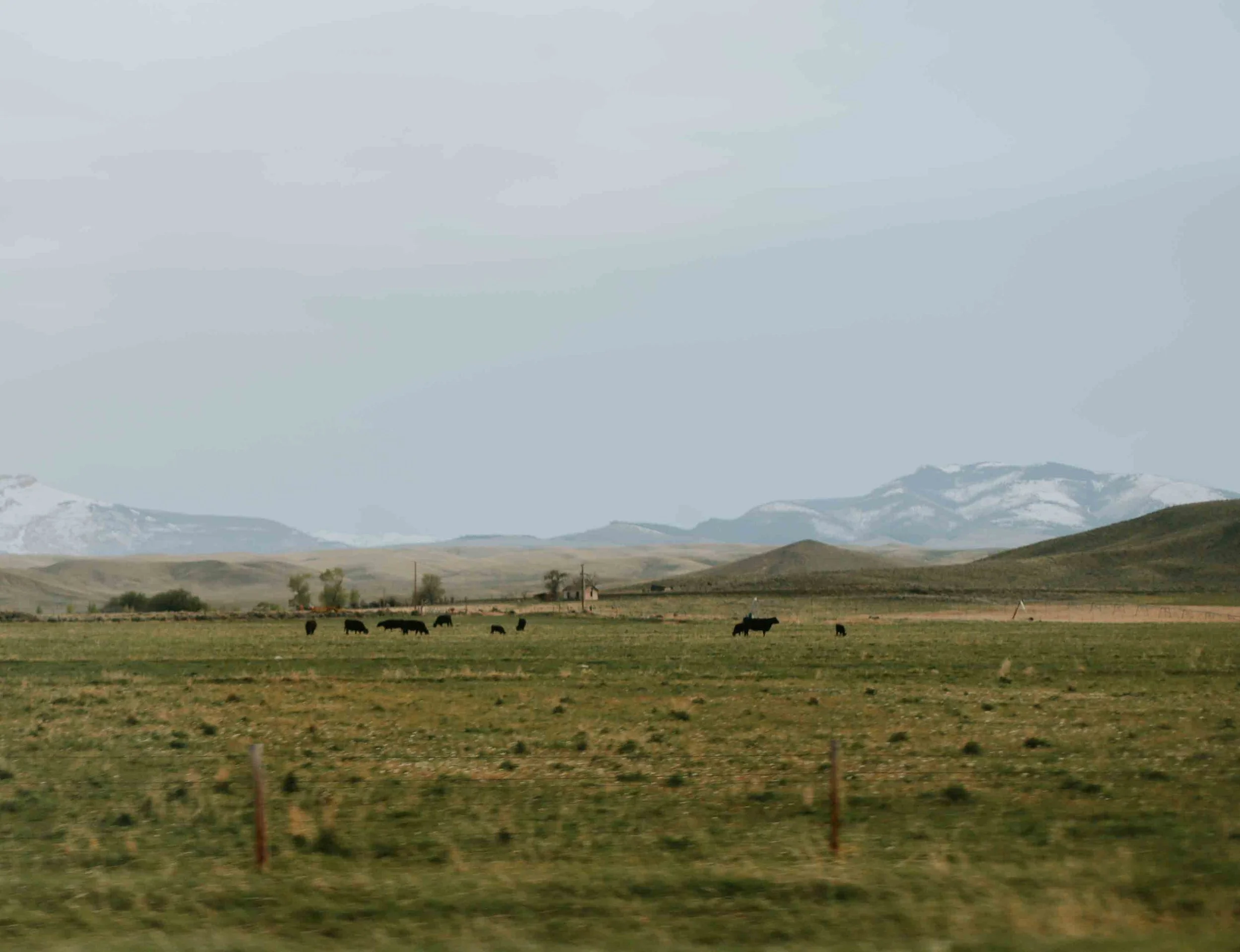 HannahHarley -20150512-2211HHB.jpg