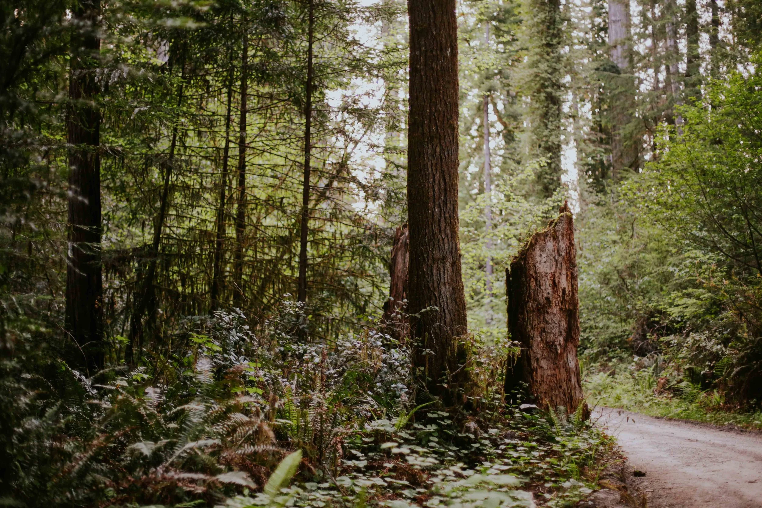 HannahHarley -20150515-4518HHB.jpg