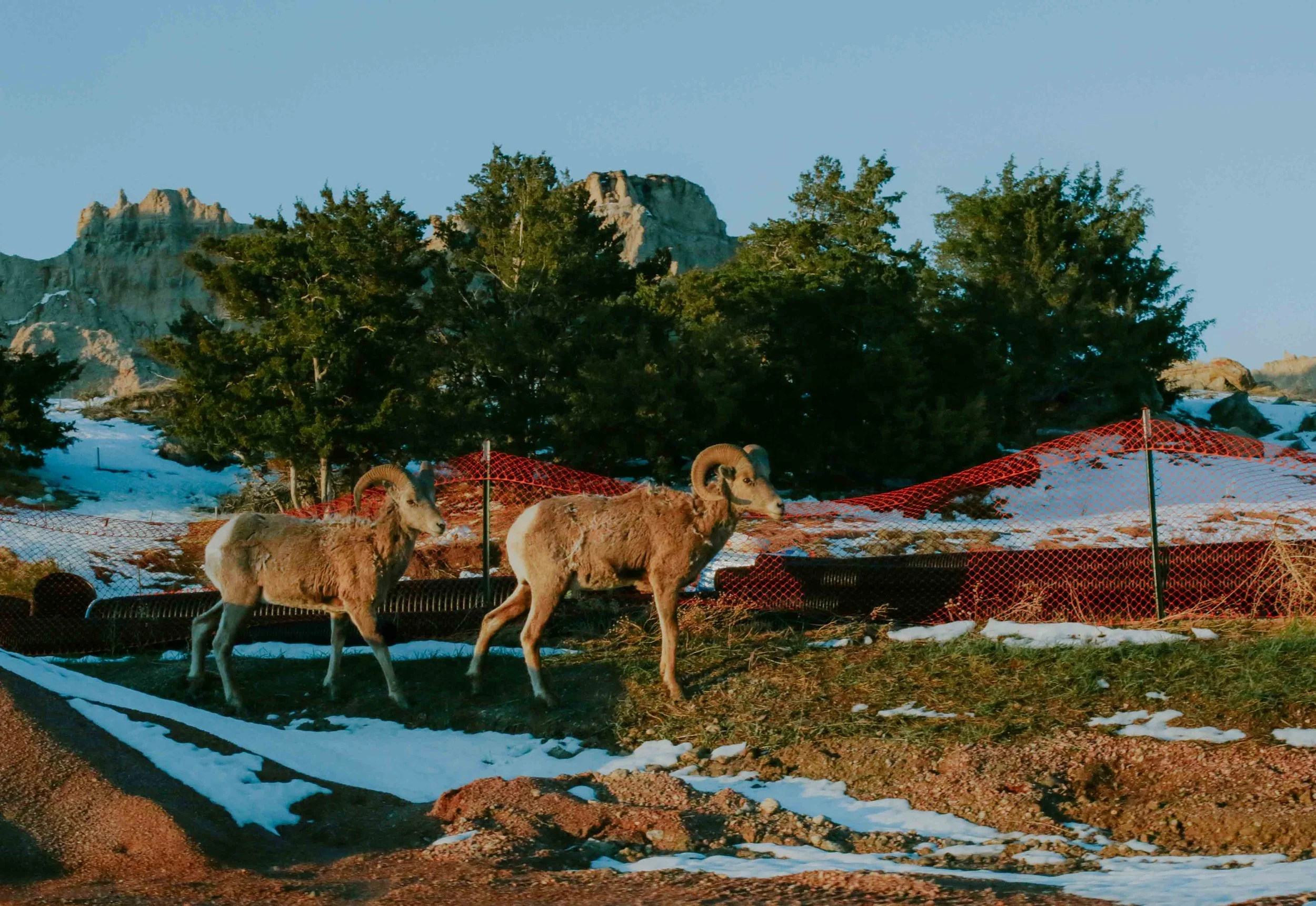 HannahHarley -20150511-1104HHB.jpg