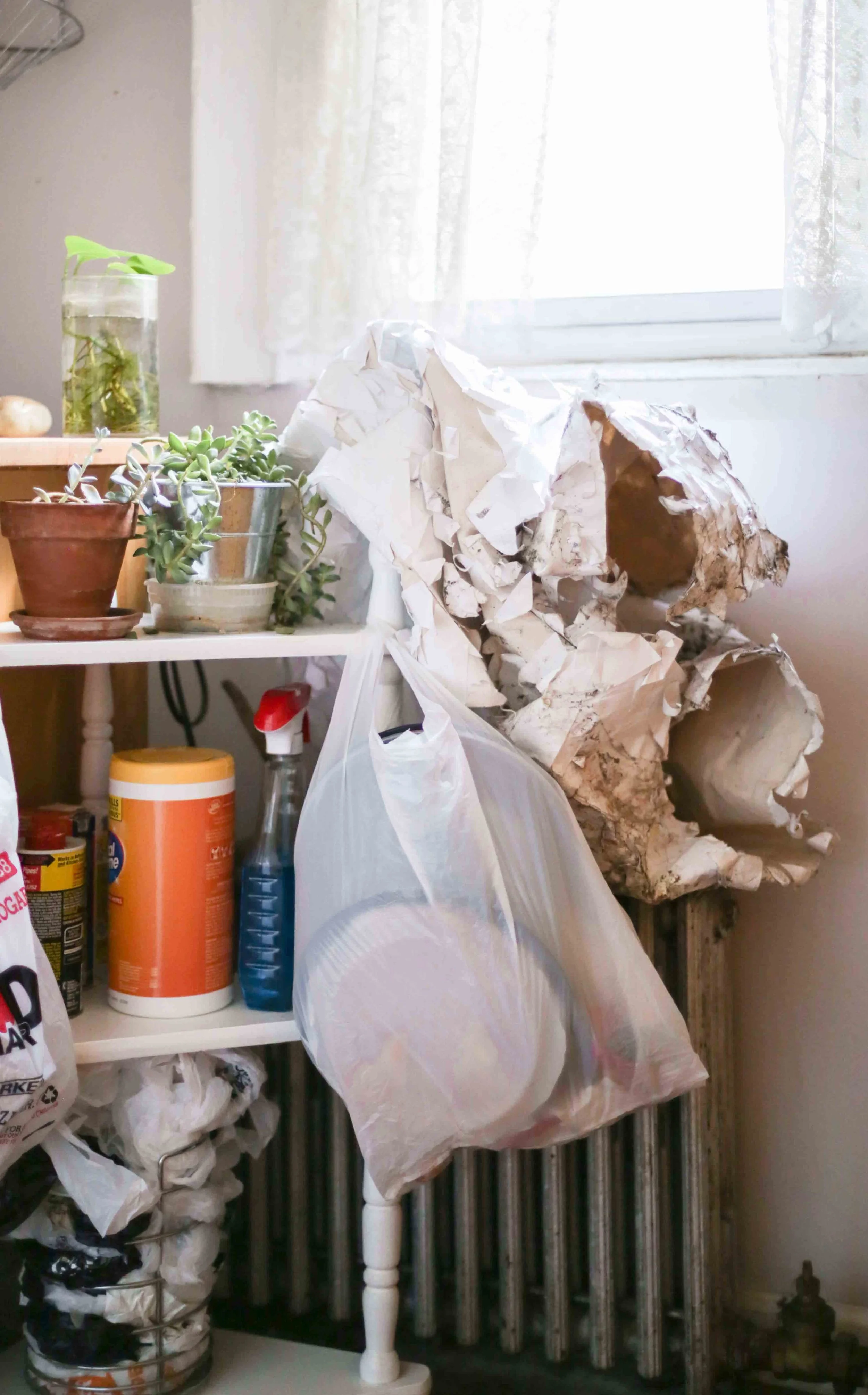 HannahHarley -20160718-5367HHB.jpg