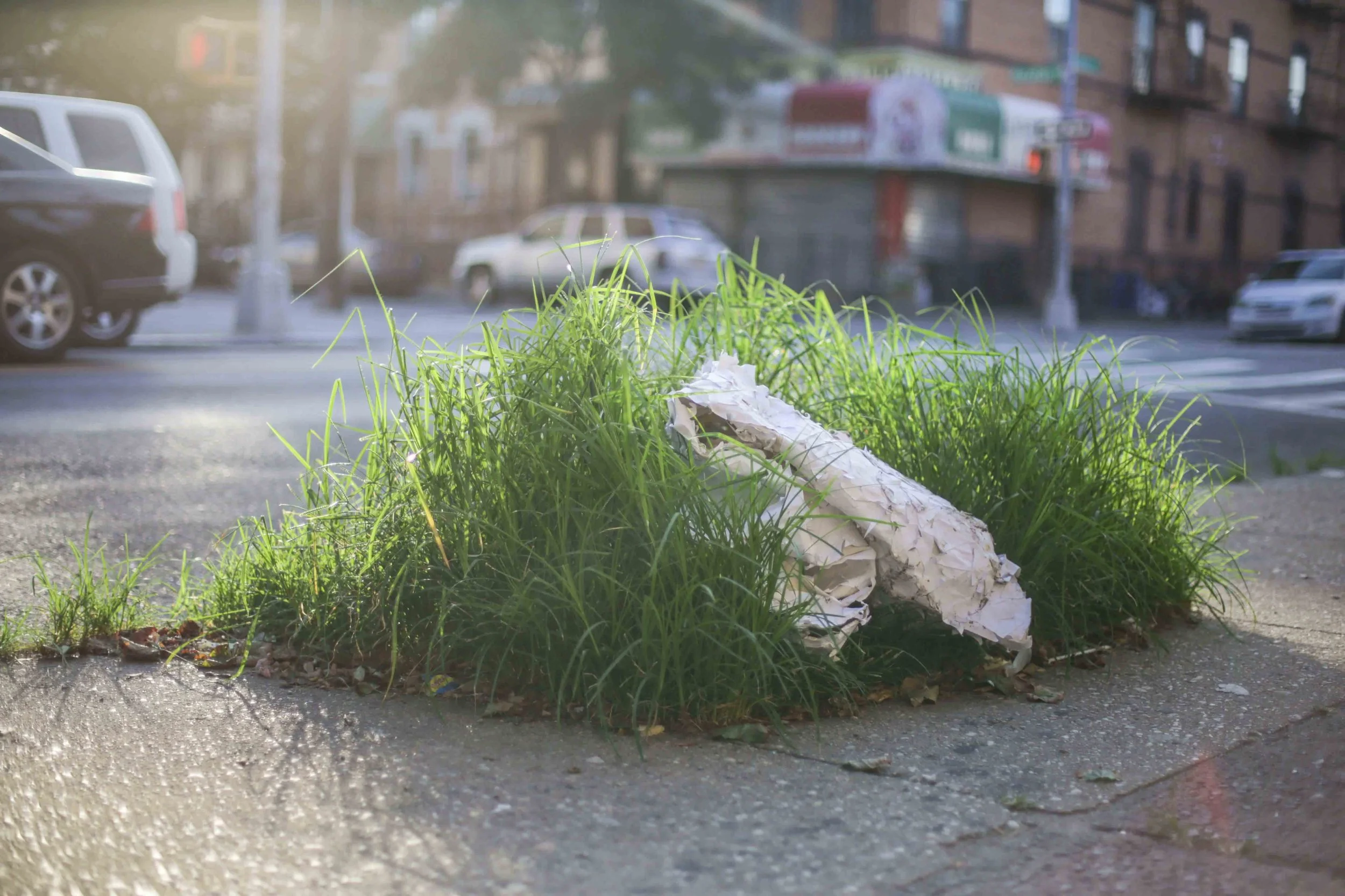 HannahHarley -20160718-5401HHB.jpg