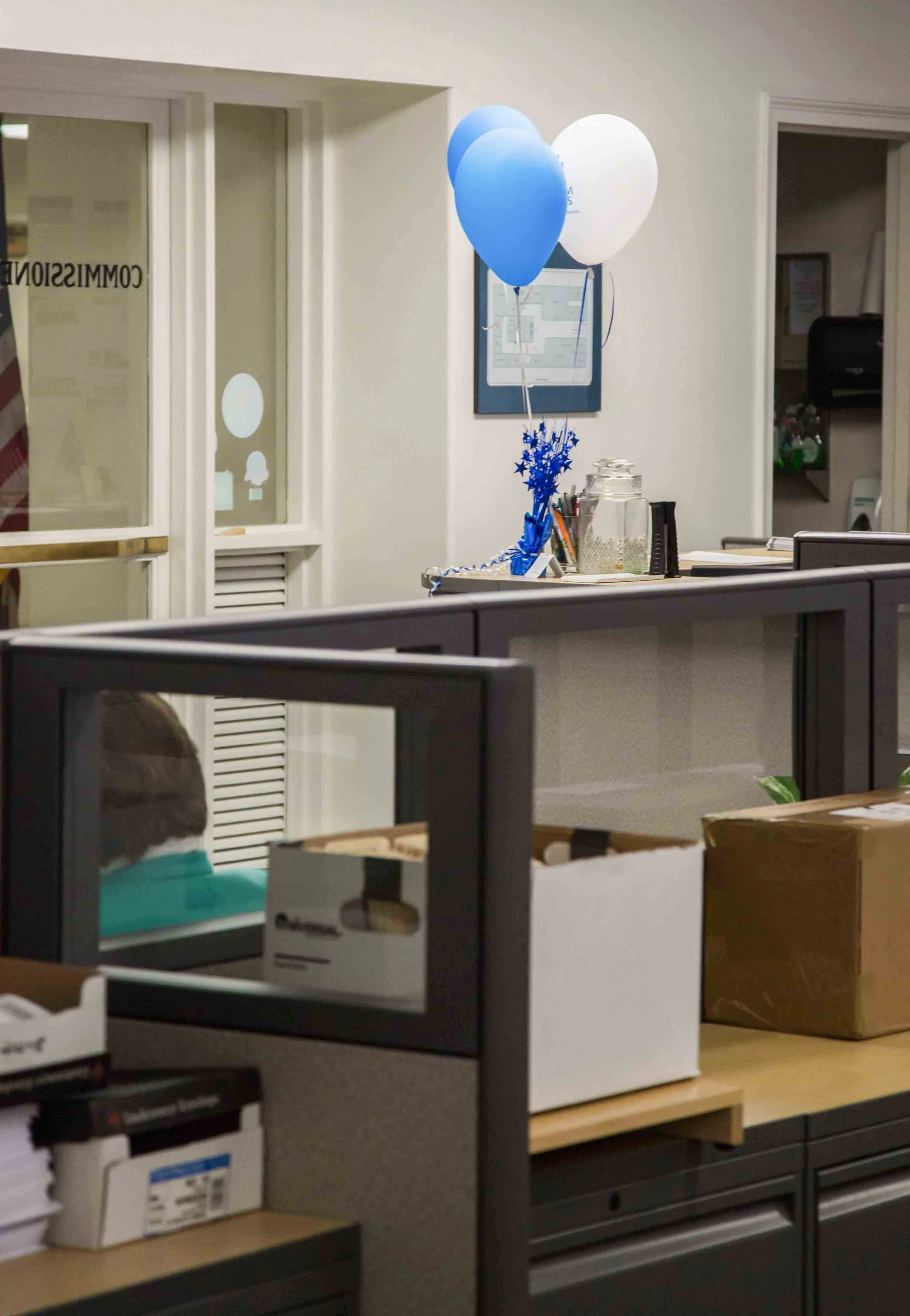 HannahHarley -20170407-2-10HHB.jpg