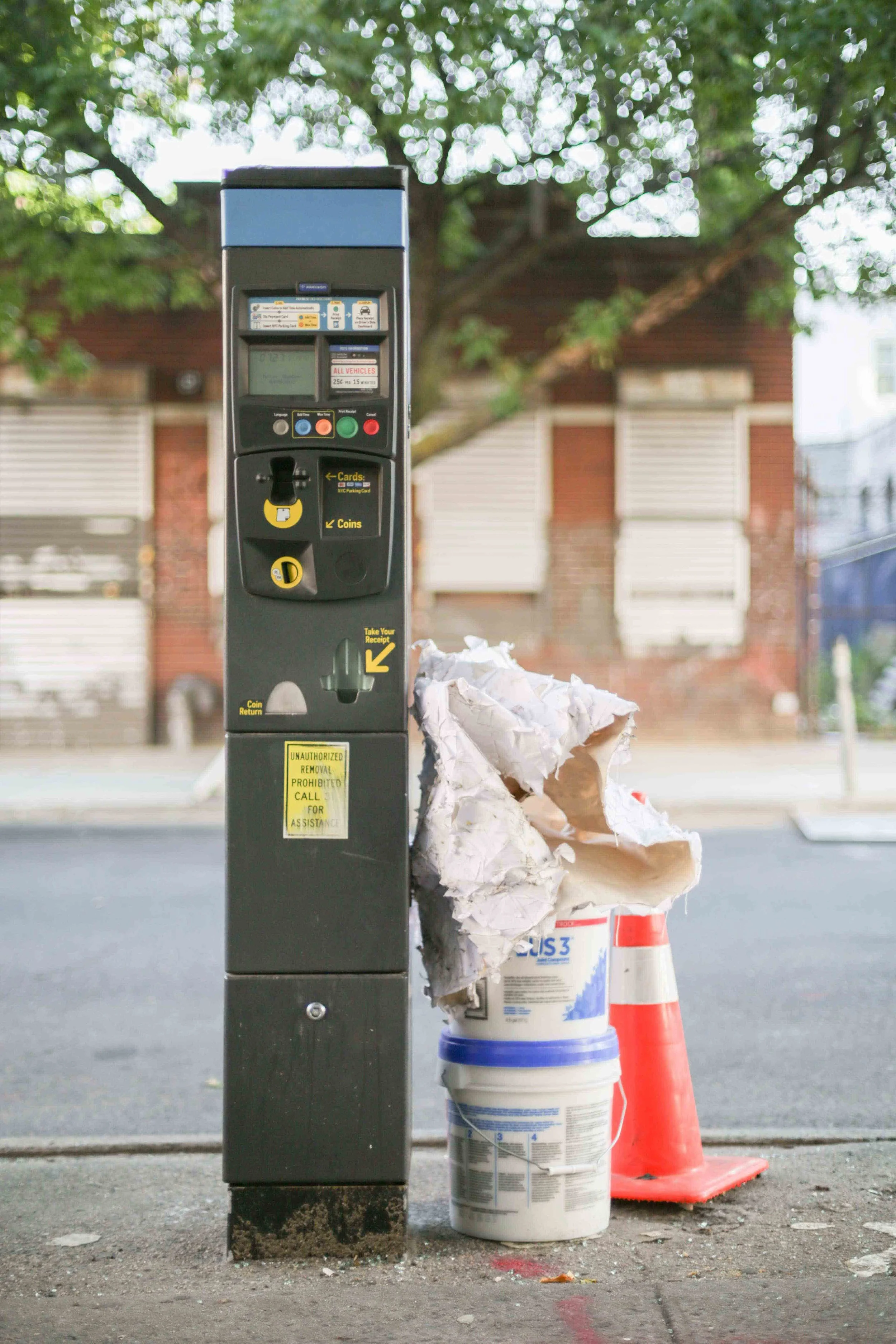 HannahHarley -20160718-2-11HHB.jpg