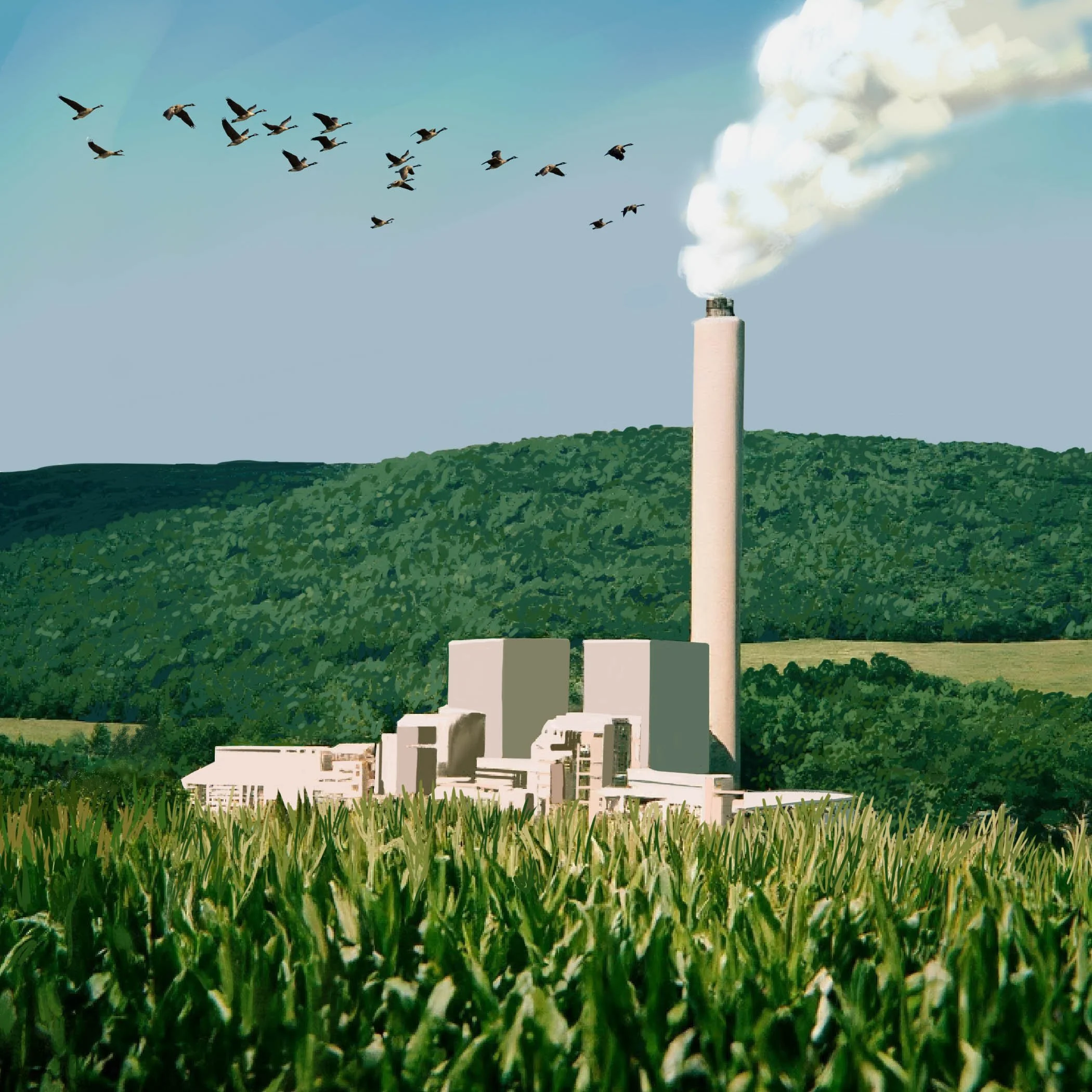 Untitled - January 28, 2025 19.05.jpg