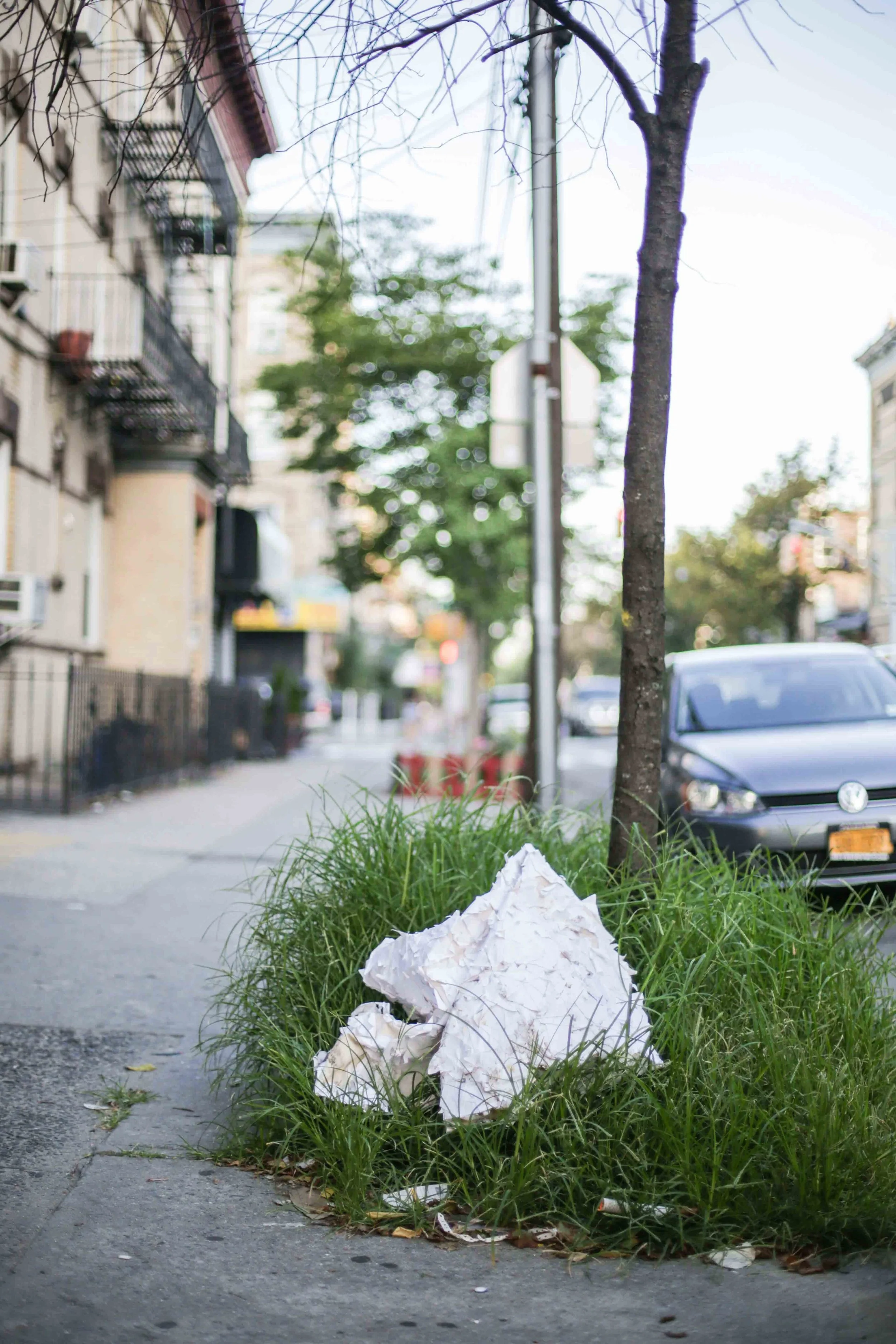 HannahHarley -20160718-5390HHB.jpg