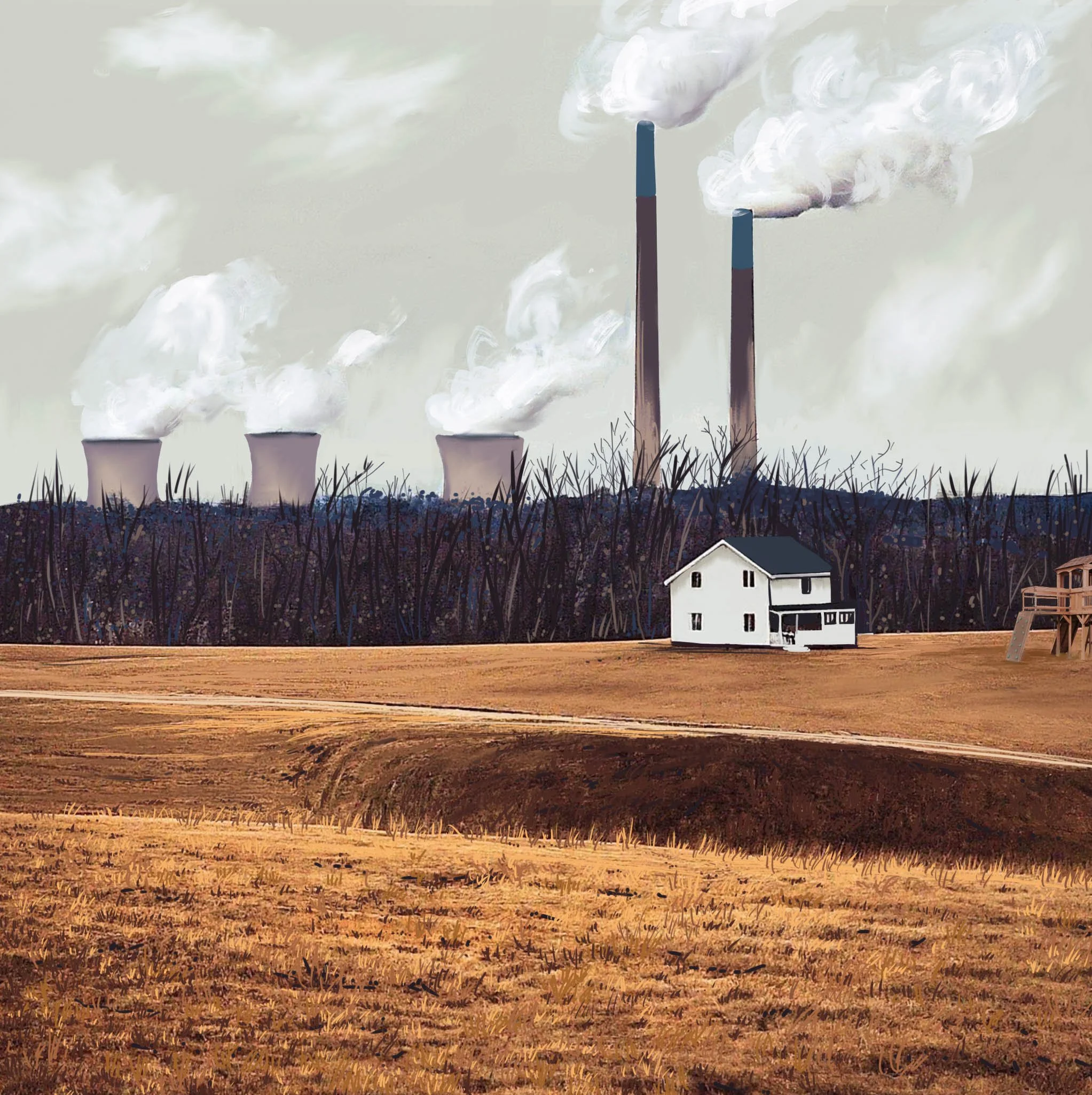 Untitled - February 5, 2025 17.23.jpg