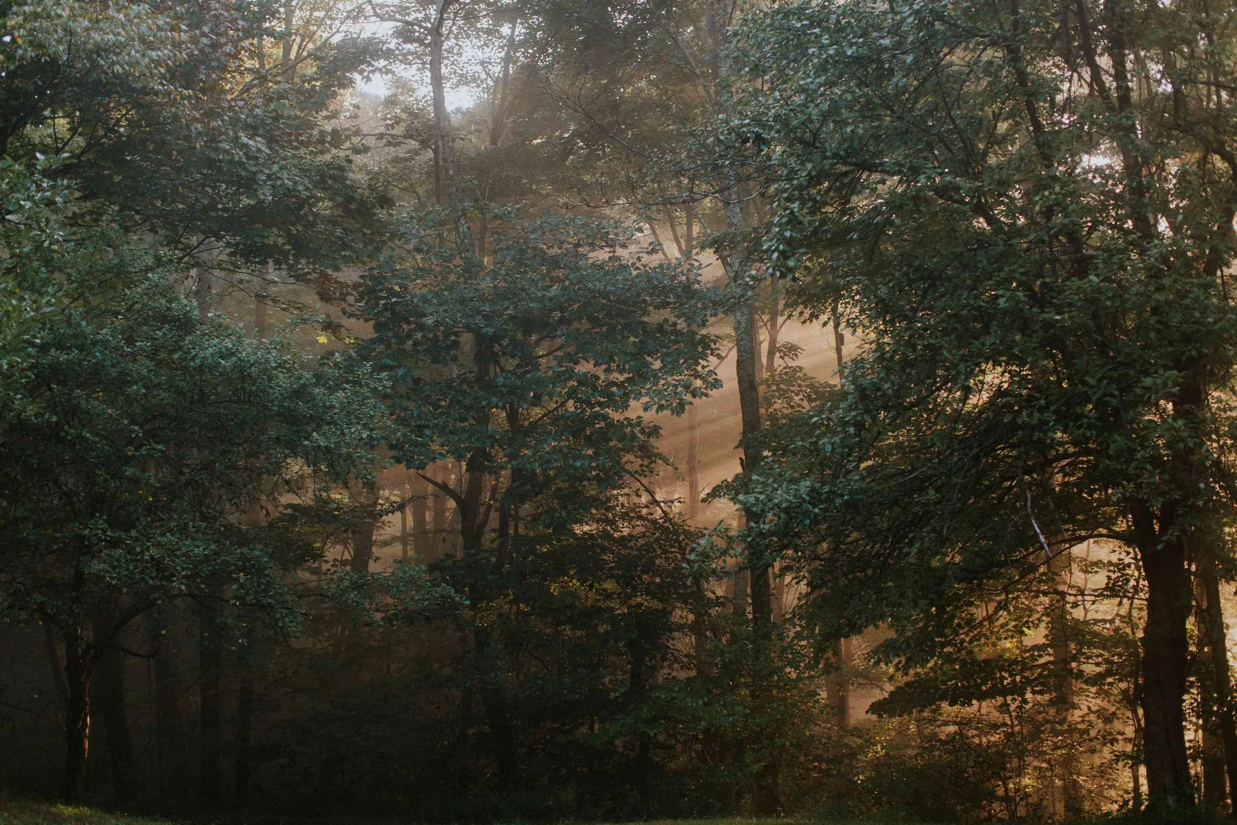 HannahHarleyBouleau_190824_HannahHarley -20190824-6259.jpg