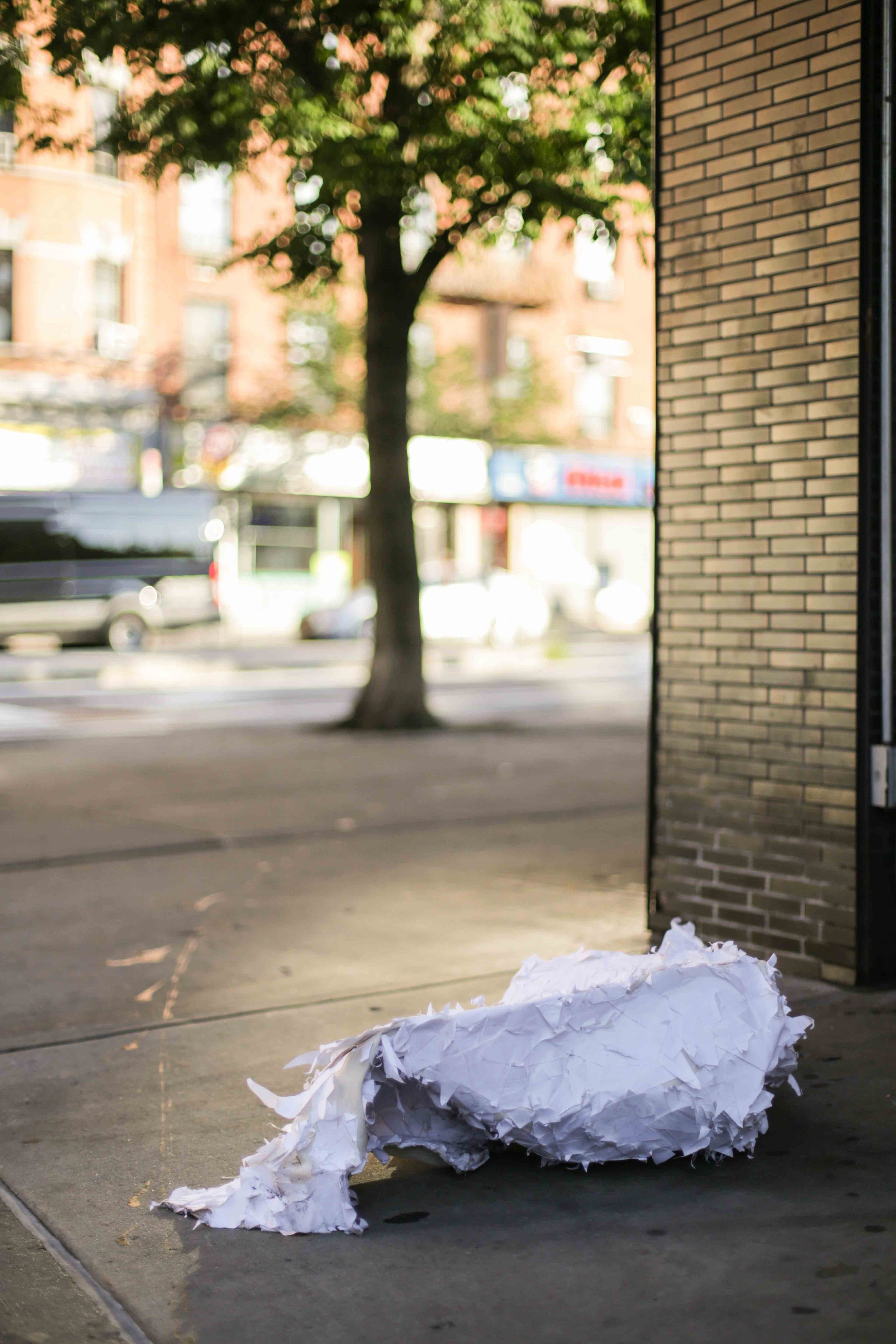 HannahHarley -20160715-5315HHB.jpg