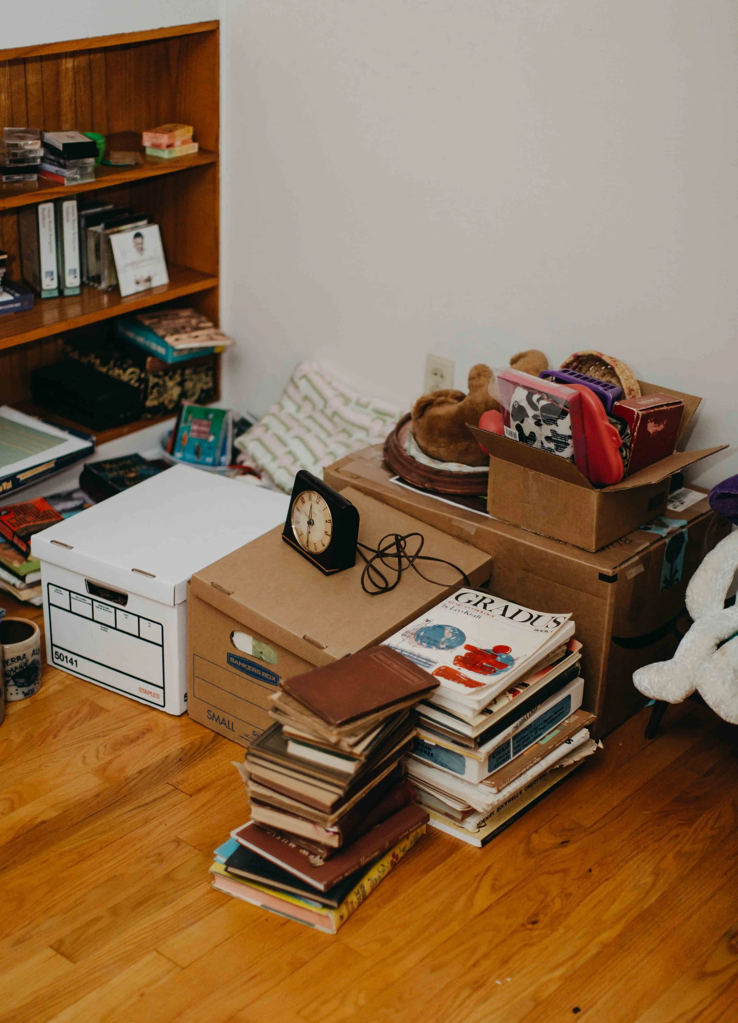 HannahHarleyBouleau_190217_HannahHarley -20190217-2019021719.jpg