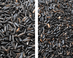 MN Cultivated Soup Grade Wild Rice 1lb, 5lb or 8lb from $5.95