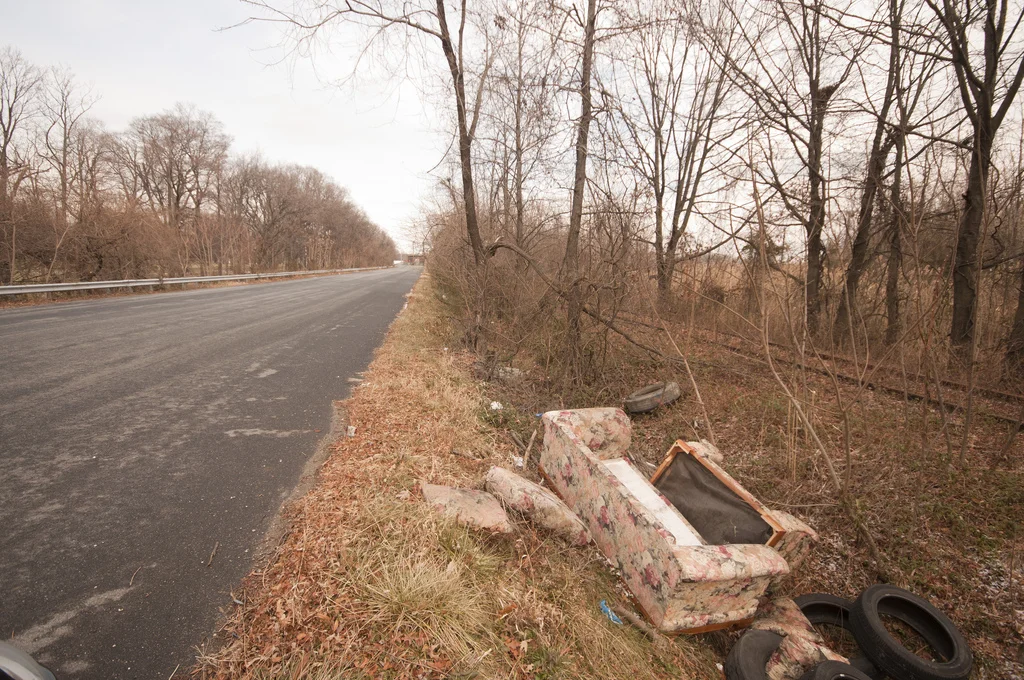 The Great Sofa Free!