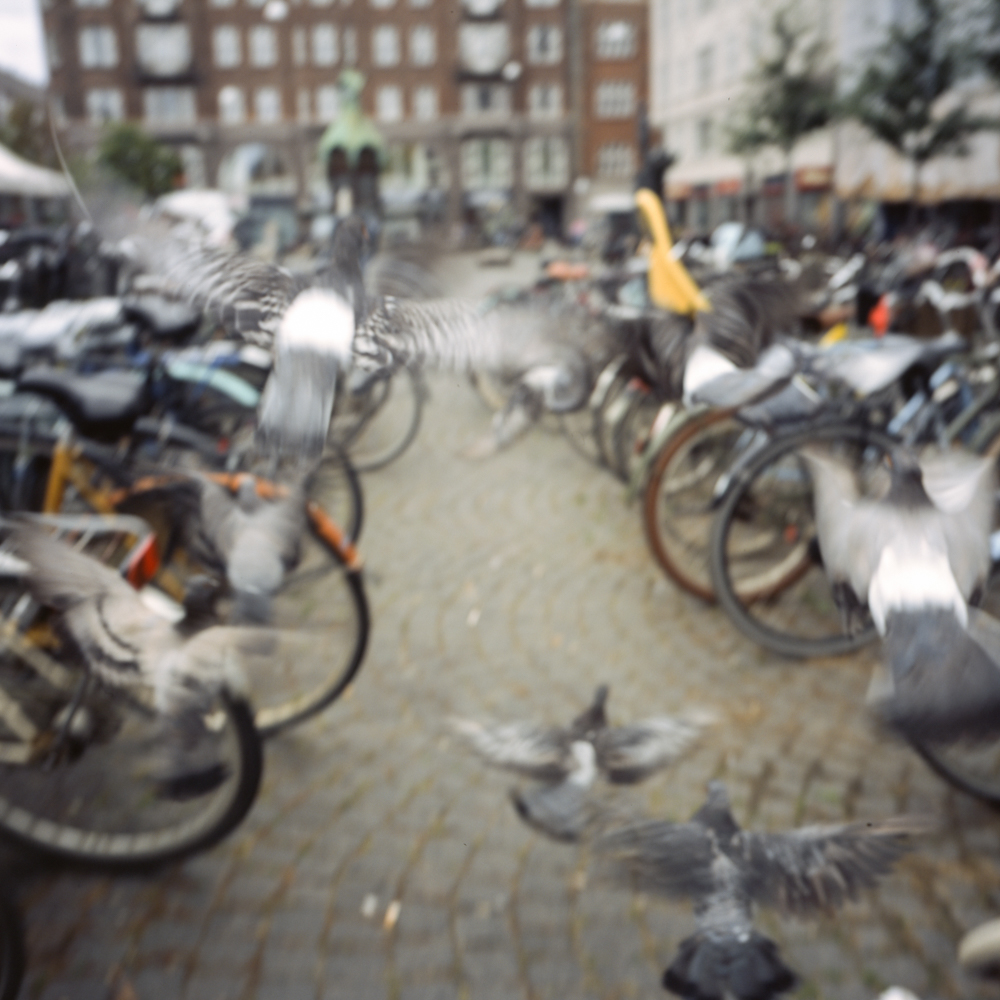 denmark-9.jpg