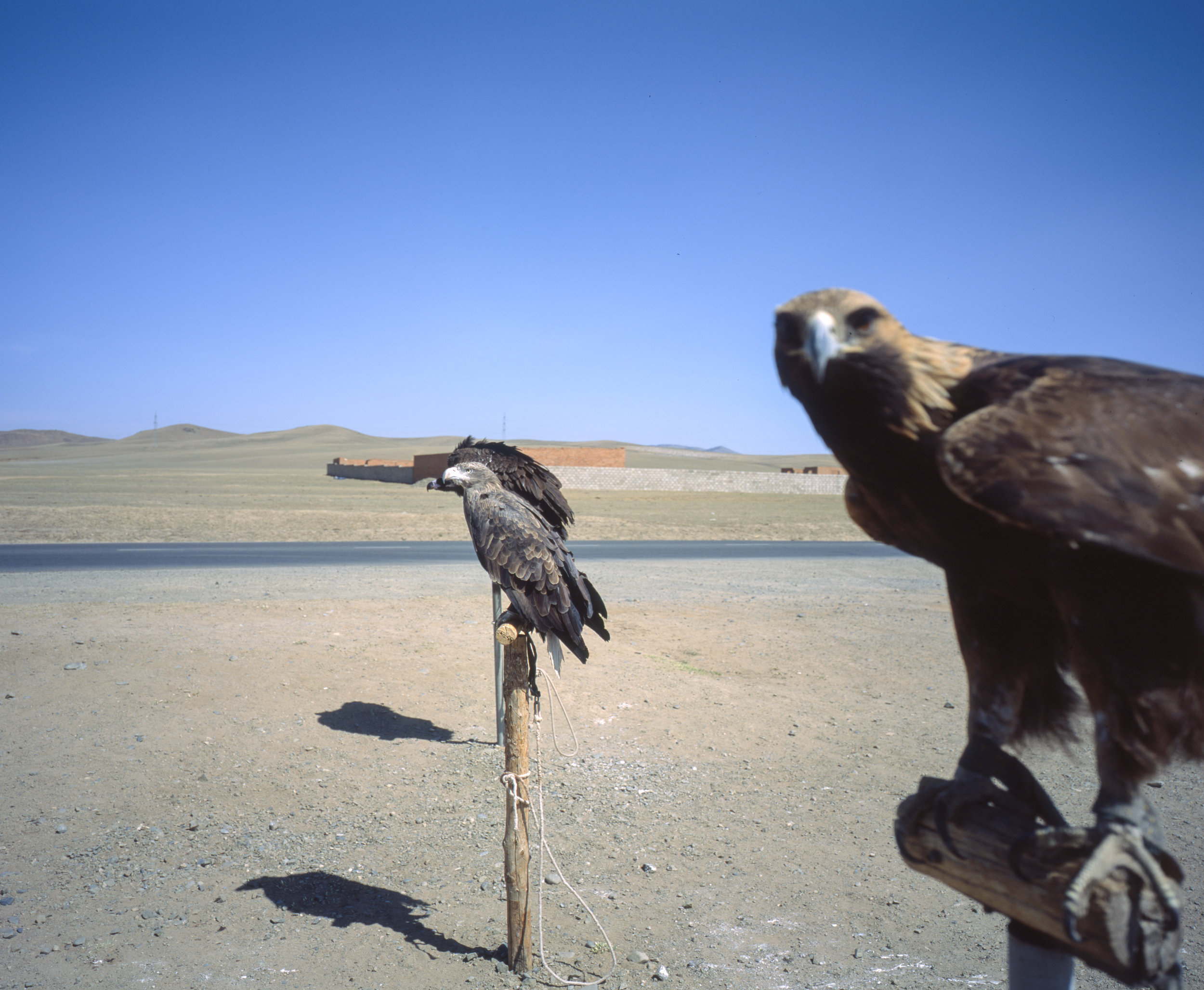 gf670wprovia578.jpg