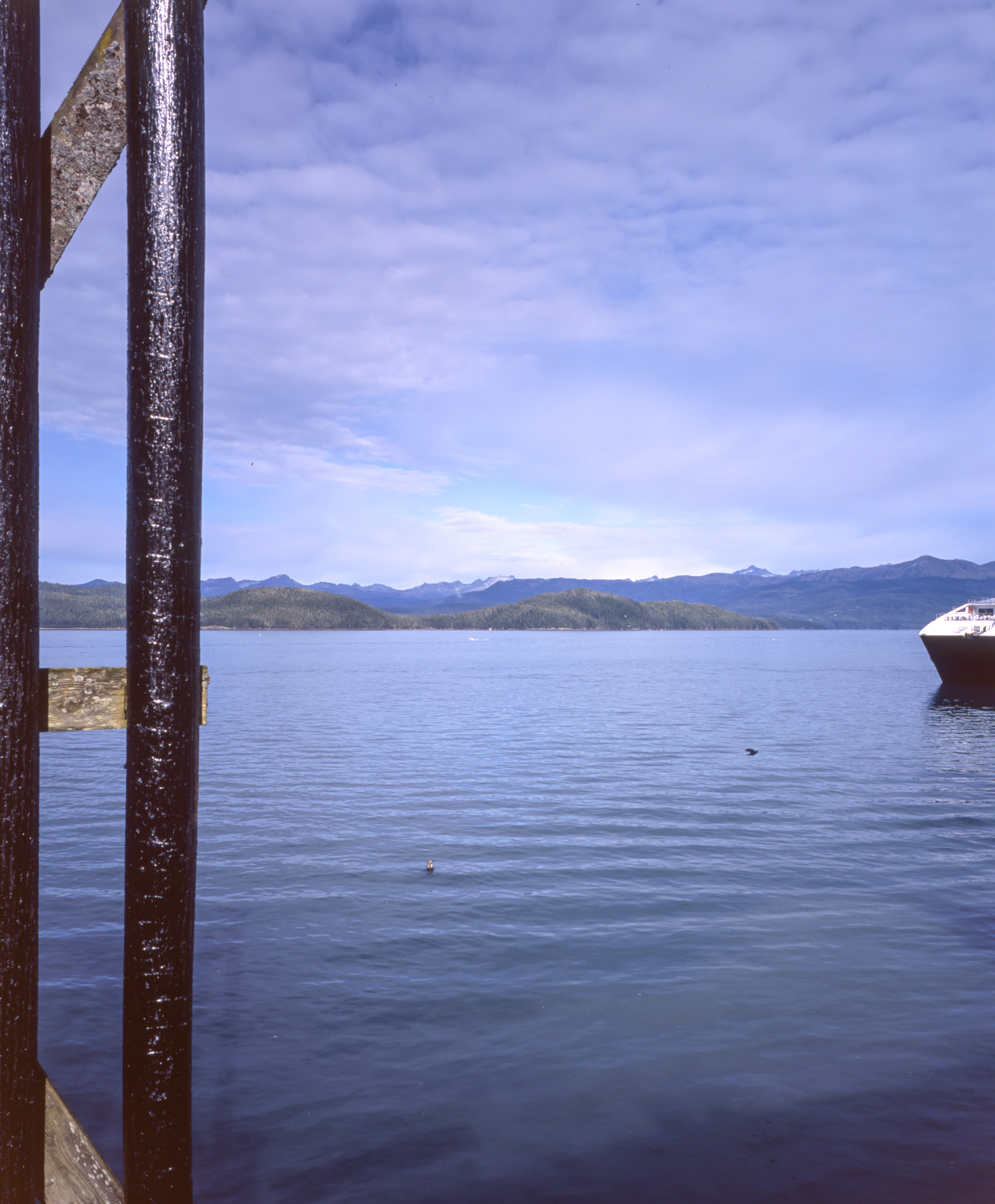 fuji-gf670w-fuji-provia034.jpg