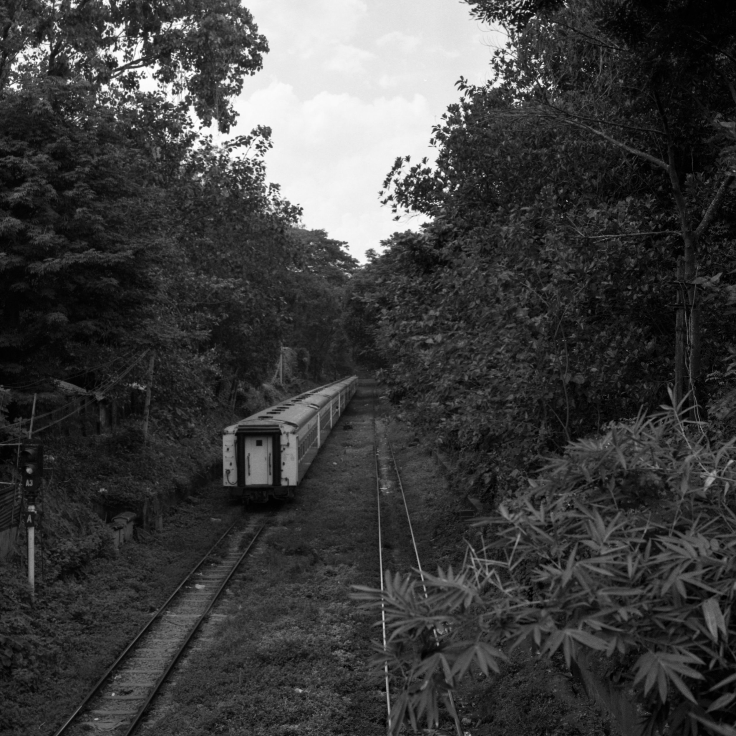 501cm-hp5376.jpg