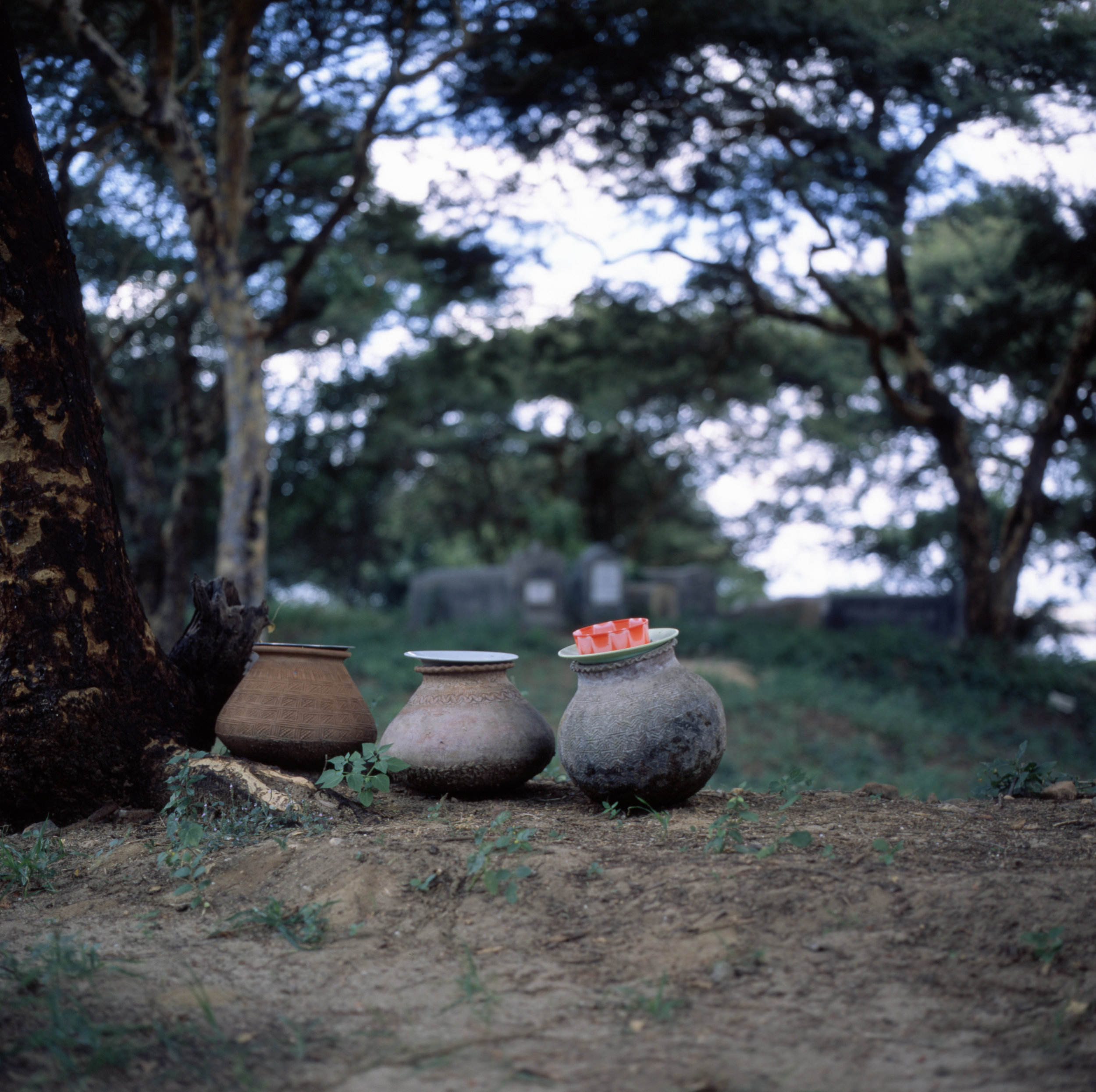 501cm-provia-100f079.jpg