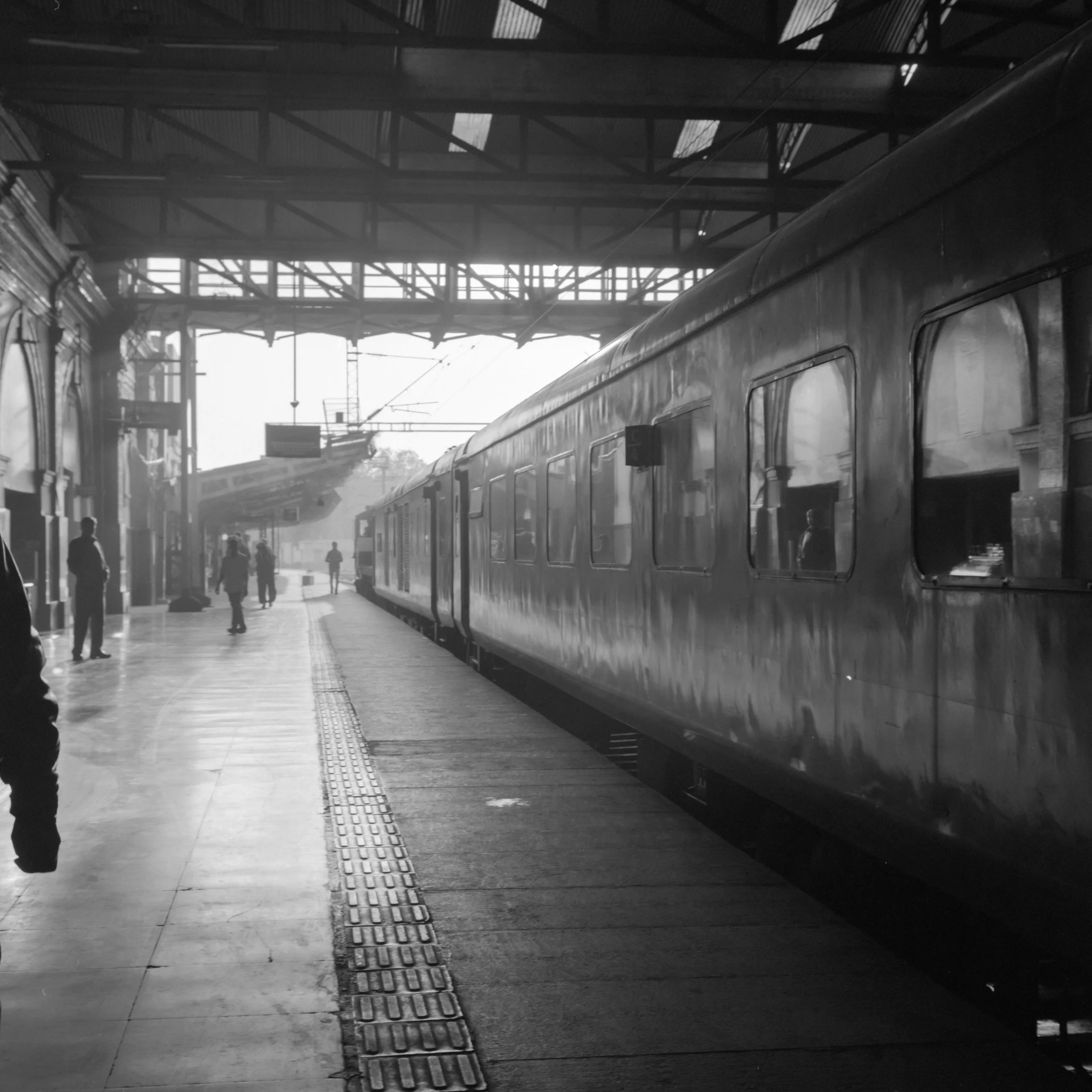rollei-hp5184.jpg