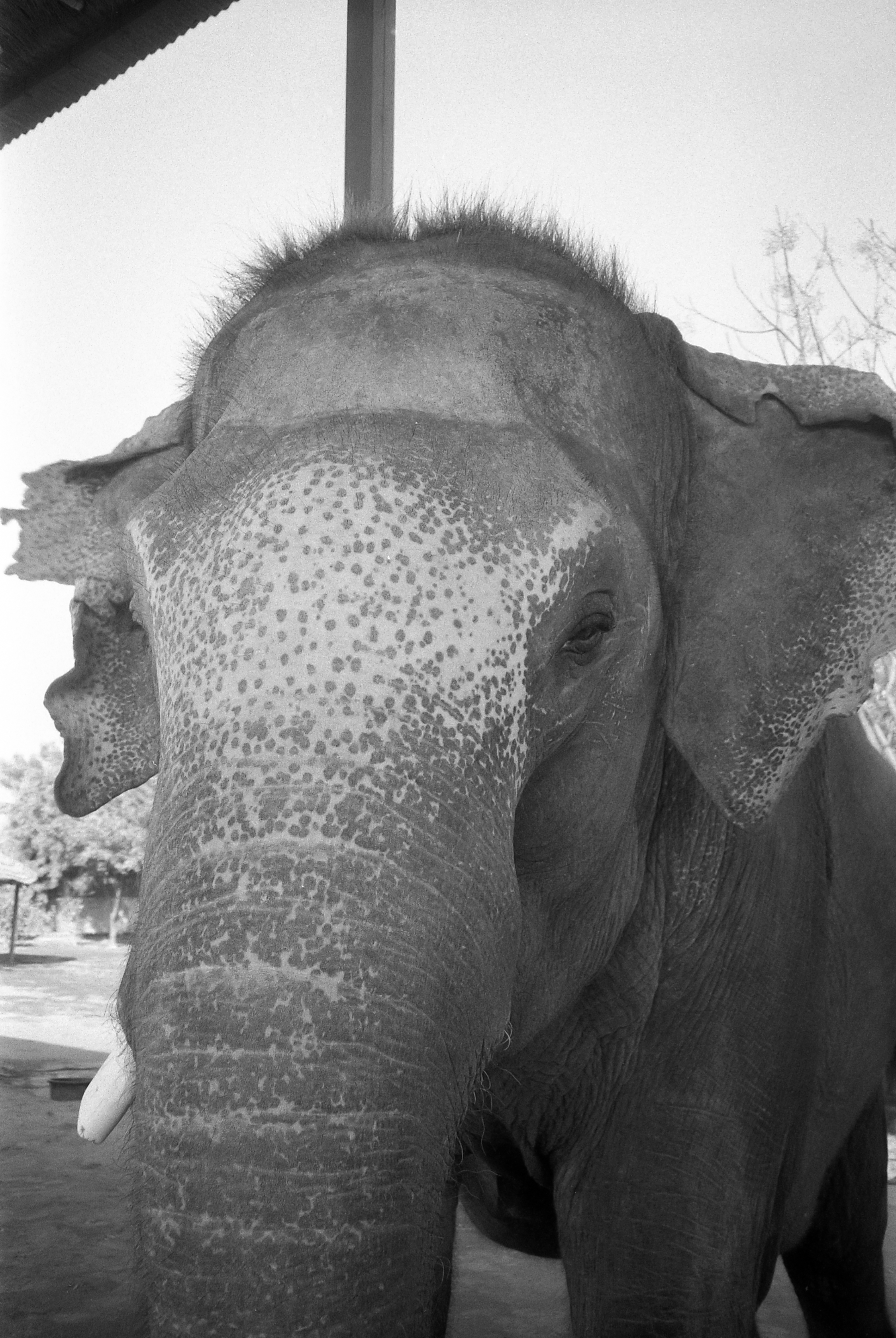 big-mini-kentmere038.jpg