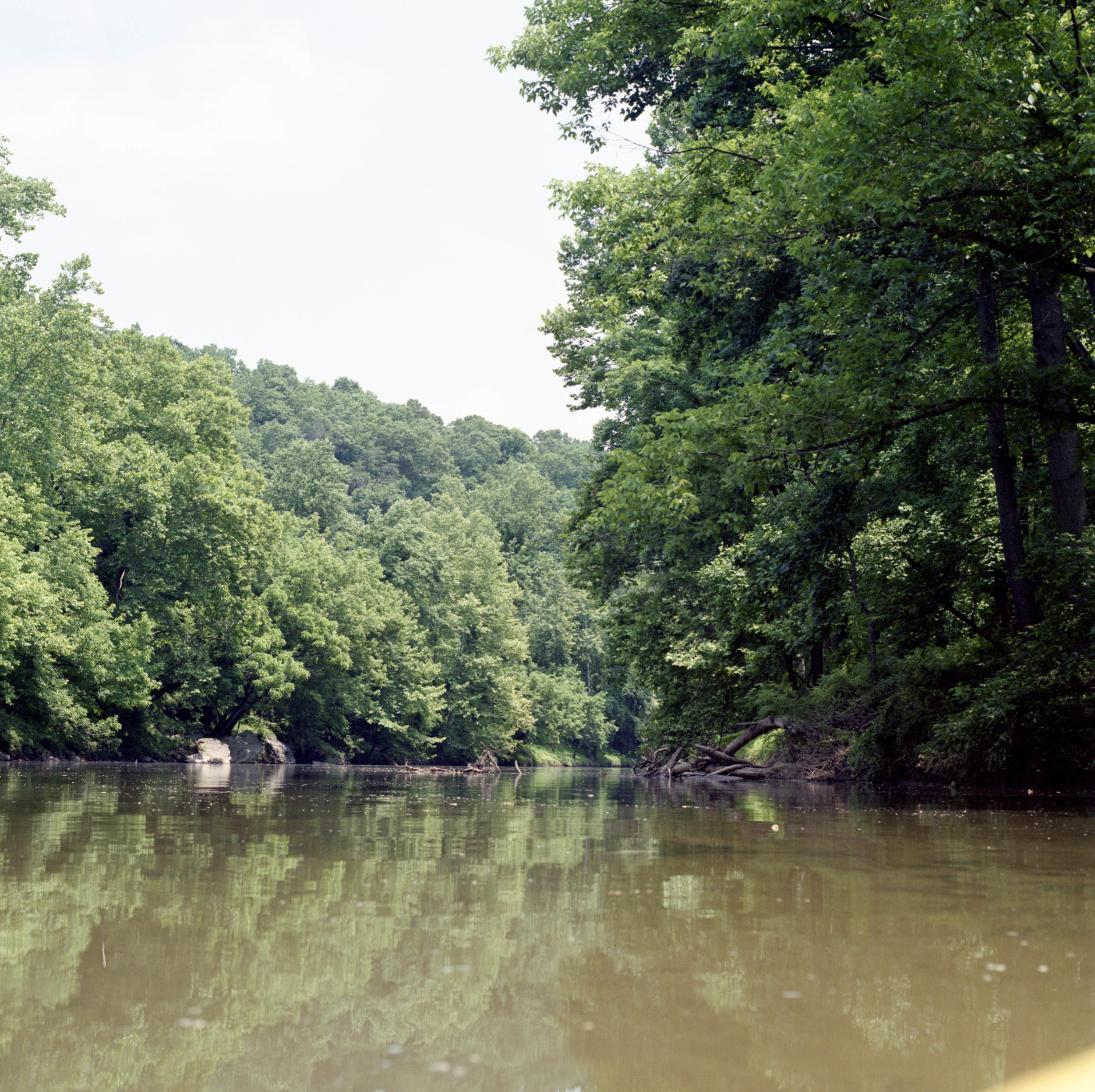 Somewhere along the river Hasselblad 501c | 80mm F2.8 CF T* | Fuji Pro 160ns