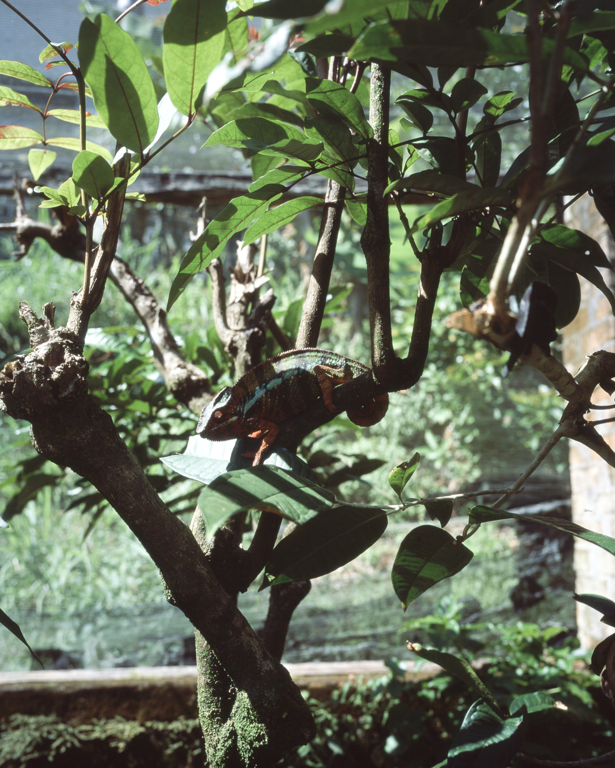 gf670w-provia-100f-213.jpg