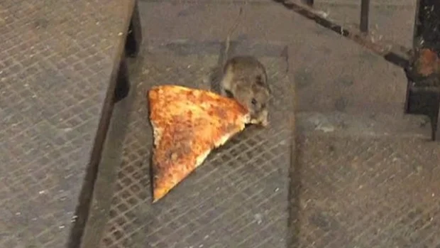 Courtesy of Rightthisminute.com