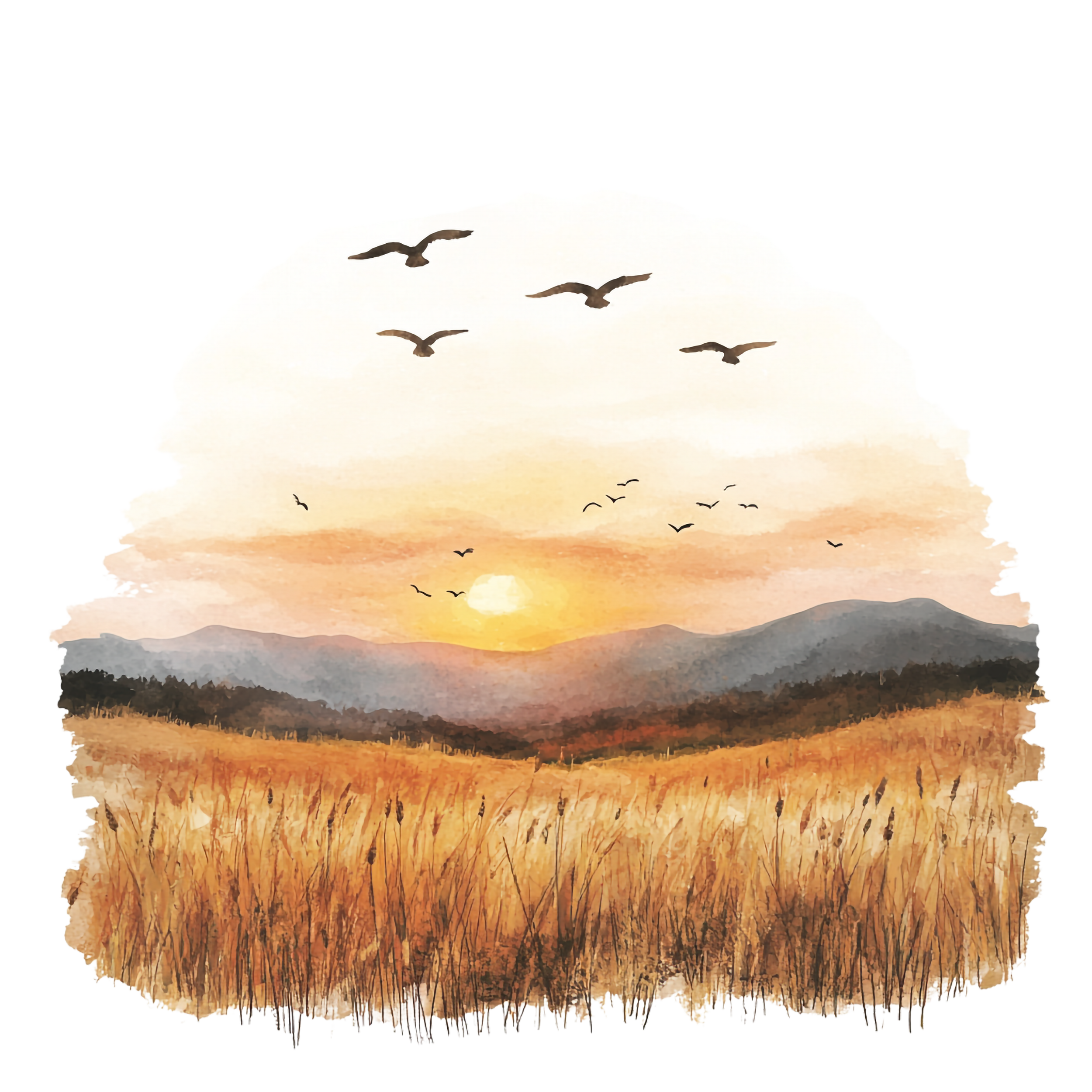Watercolor painting of a sunset over rolling hills with flying birds and tall grass in the foreground.