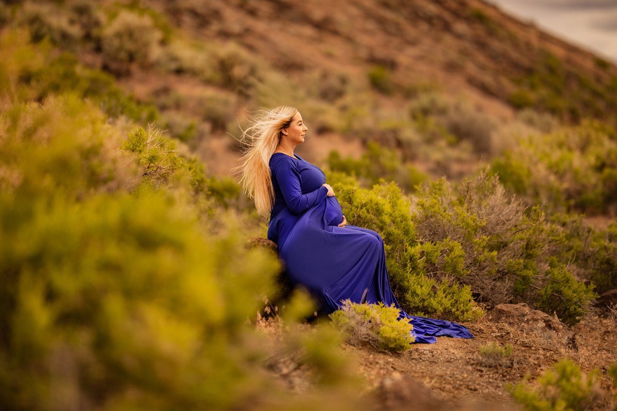 A pregnant woman in a long blue dress sitting on a rock in a desert-like landscape with green shrubs, looking to the right with her hand on her belly.
