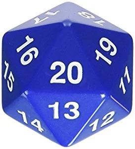D20.jpeg