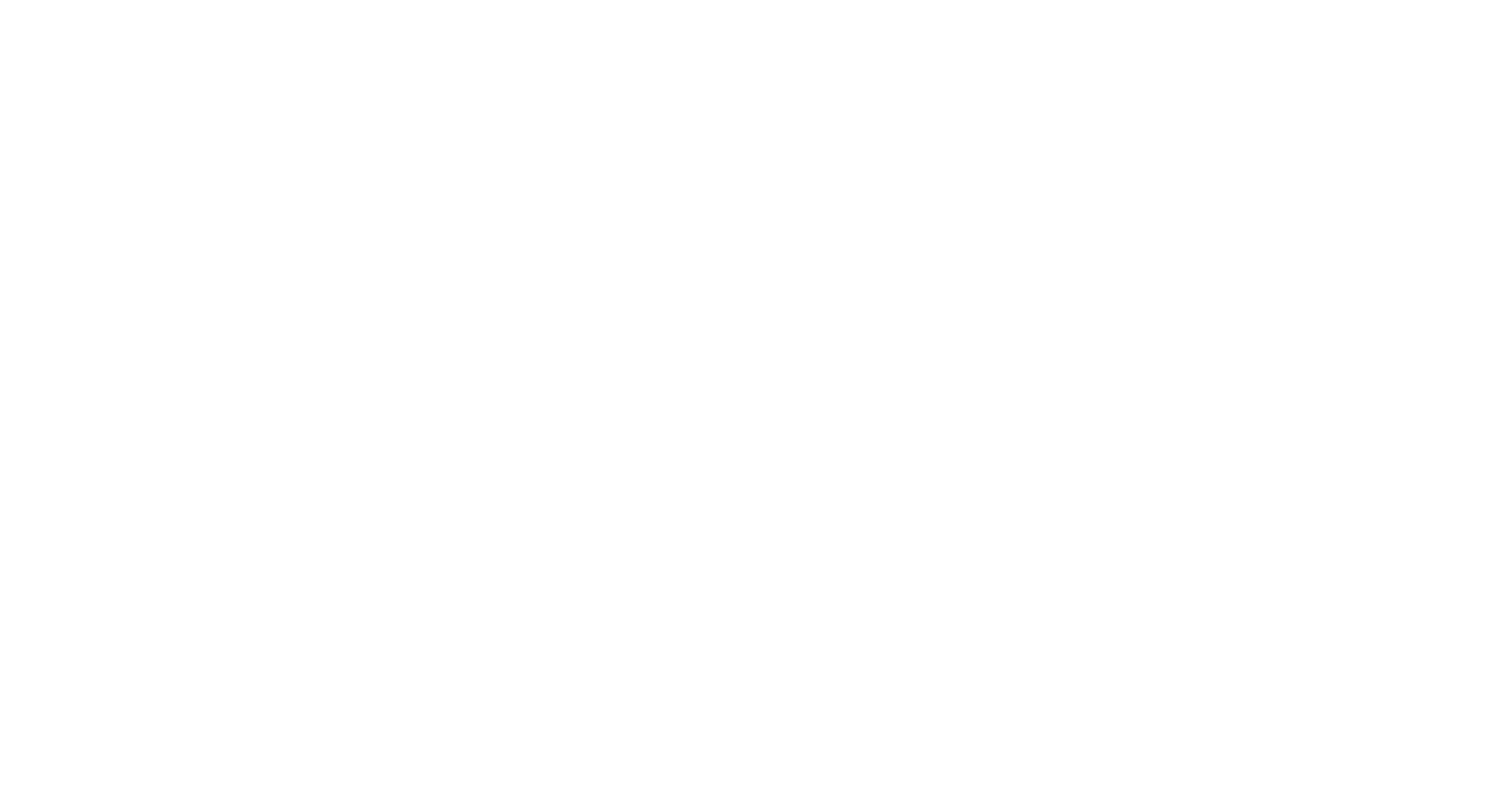 Los Angeles Flag