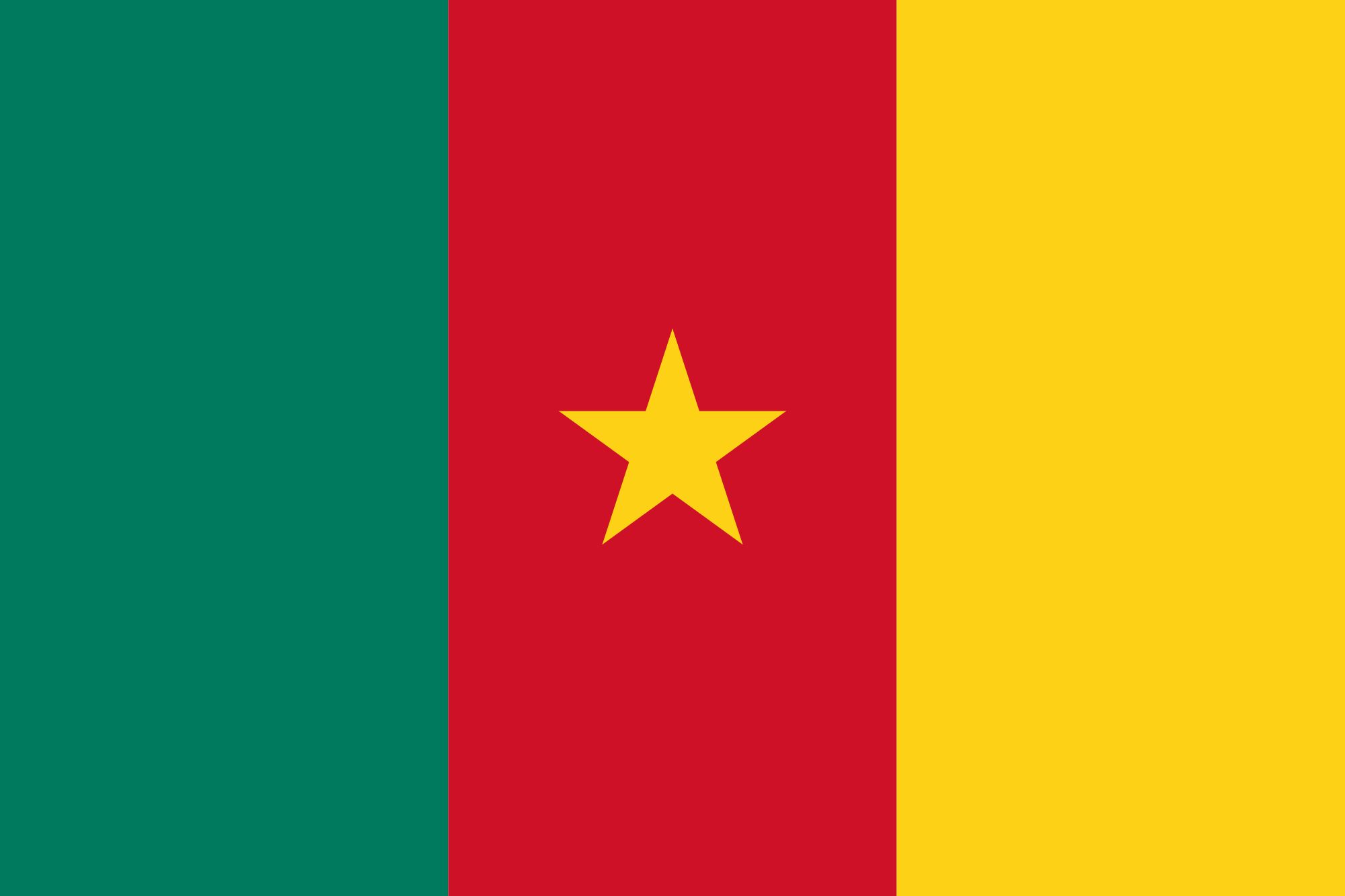 Flag of Camaroon, Africa