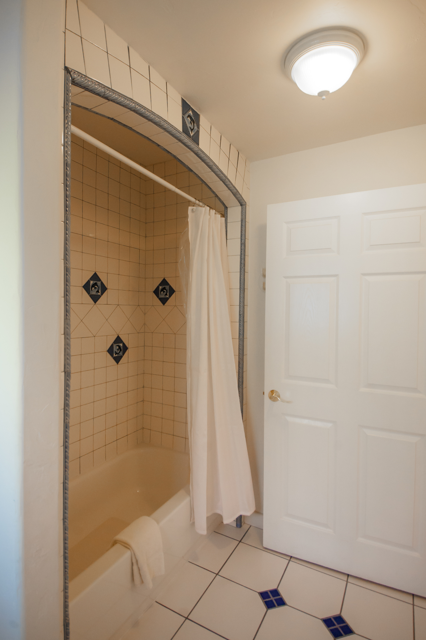 Anguila A Shower - Web.jpg