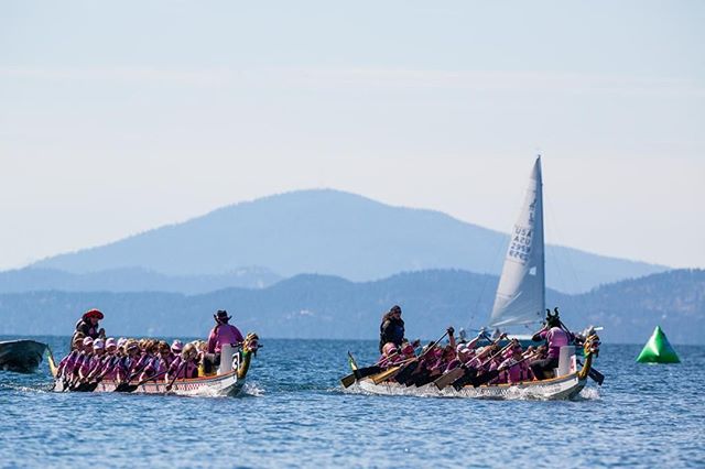 Calling all Dragonboat racers and spectators! Will you be joining us in September for the Montana Dragonboat Festival here in Bigfork? We would absolutely love to host you at the Islander Inn. There are still some rooms available for the weekend but 