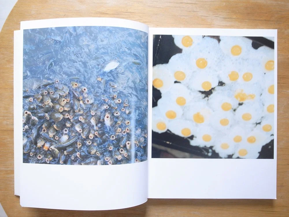 Rinko Kawauchi (Page from "Utatane")