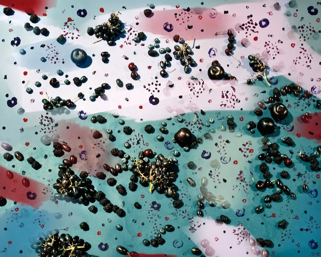 Sam Falls "Problems With Decomposition" 