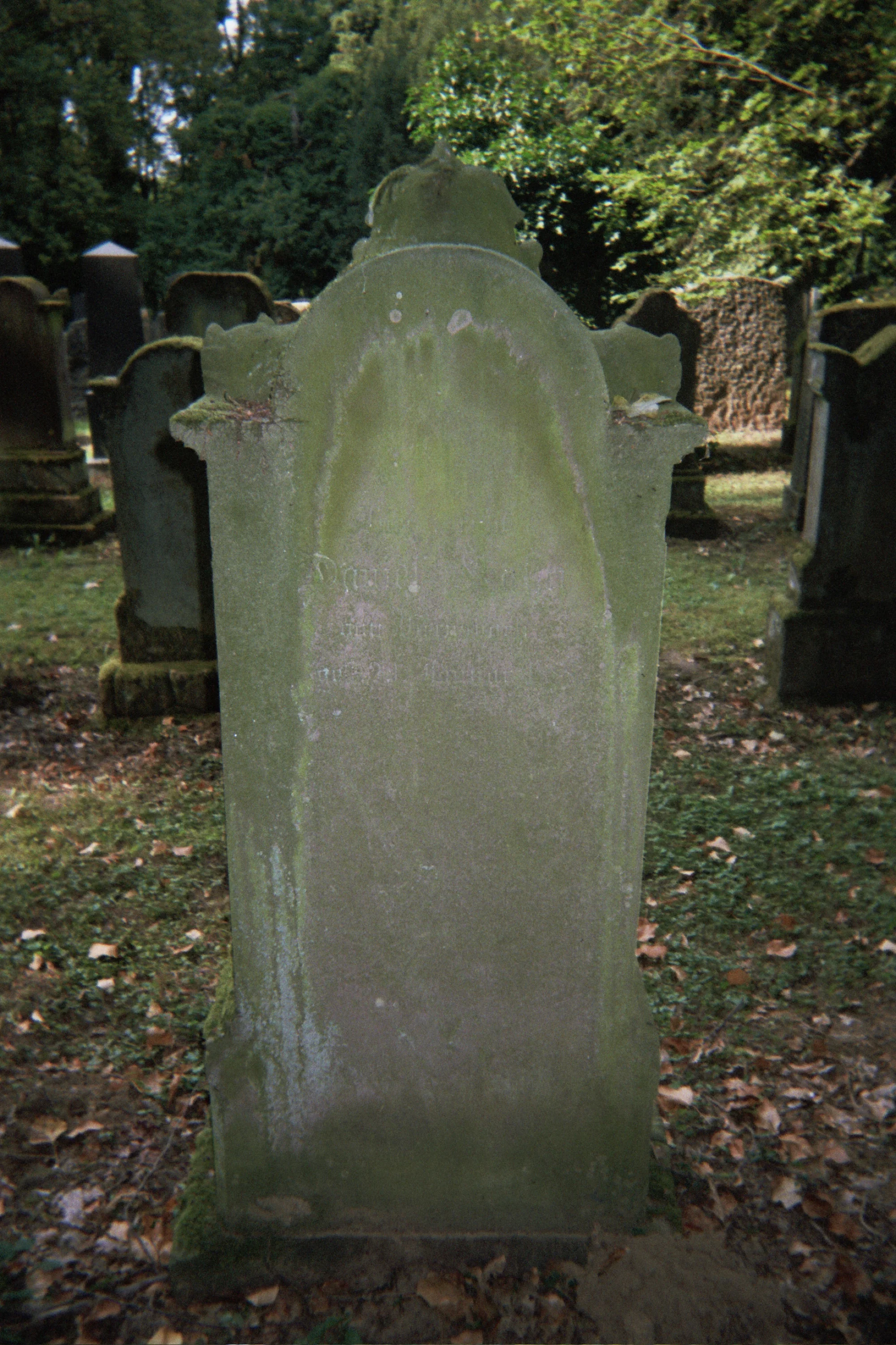21A_0005.jpg