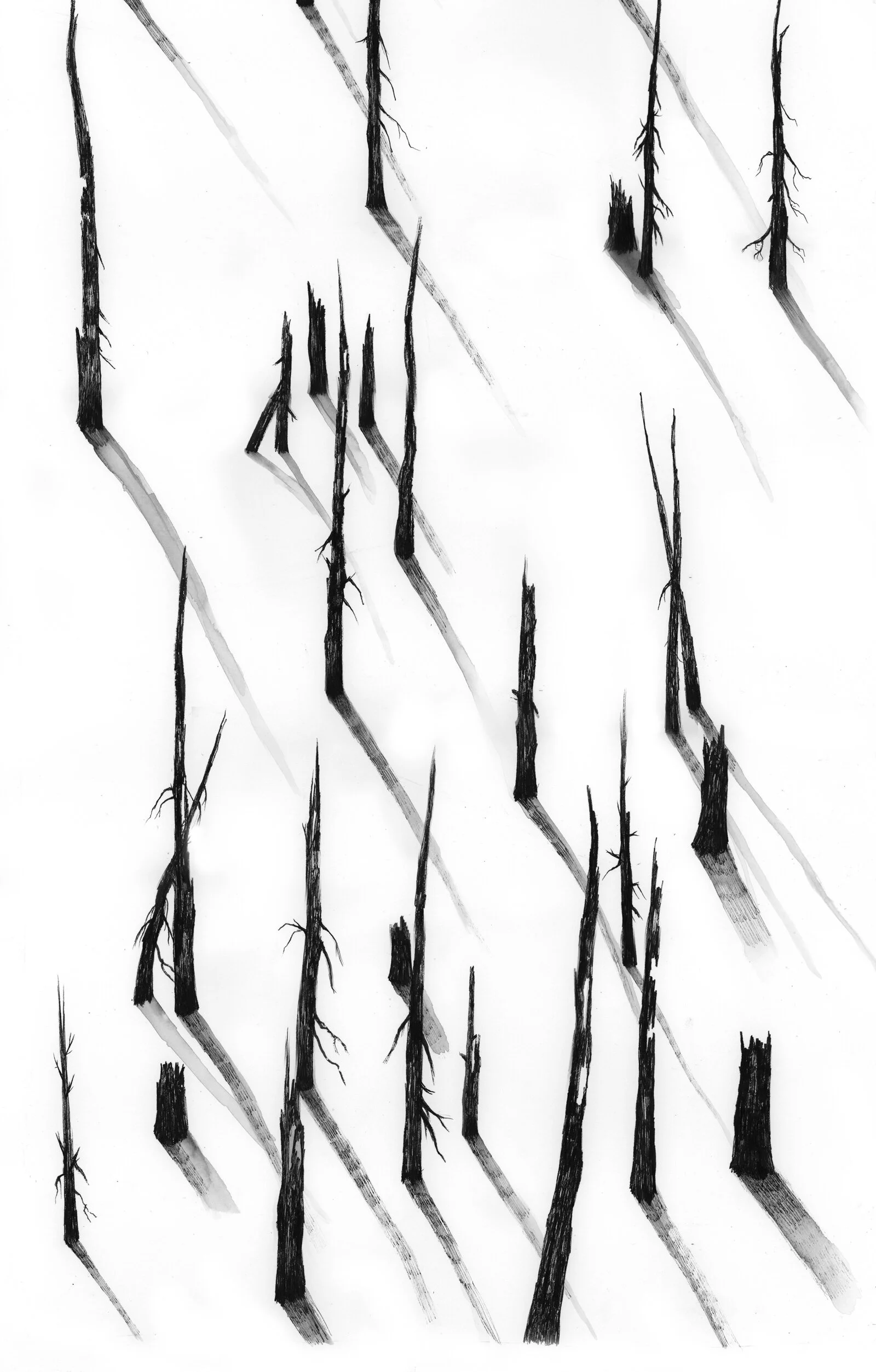 Burn-2.jpg