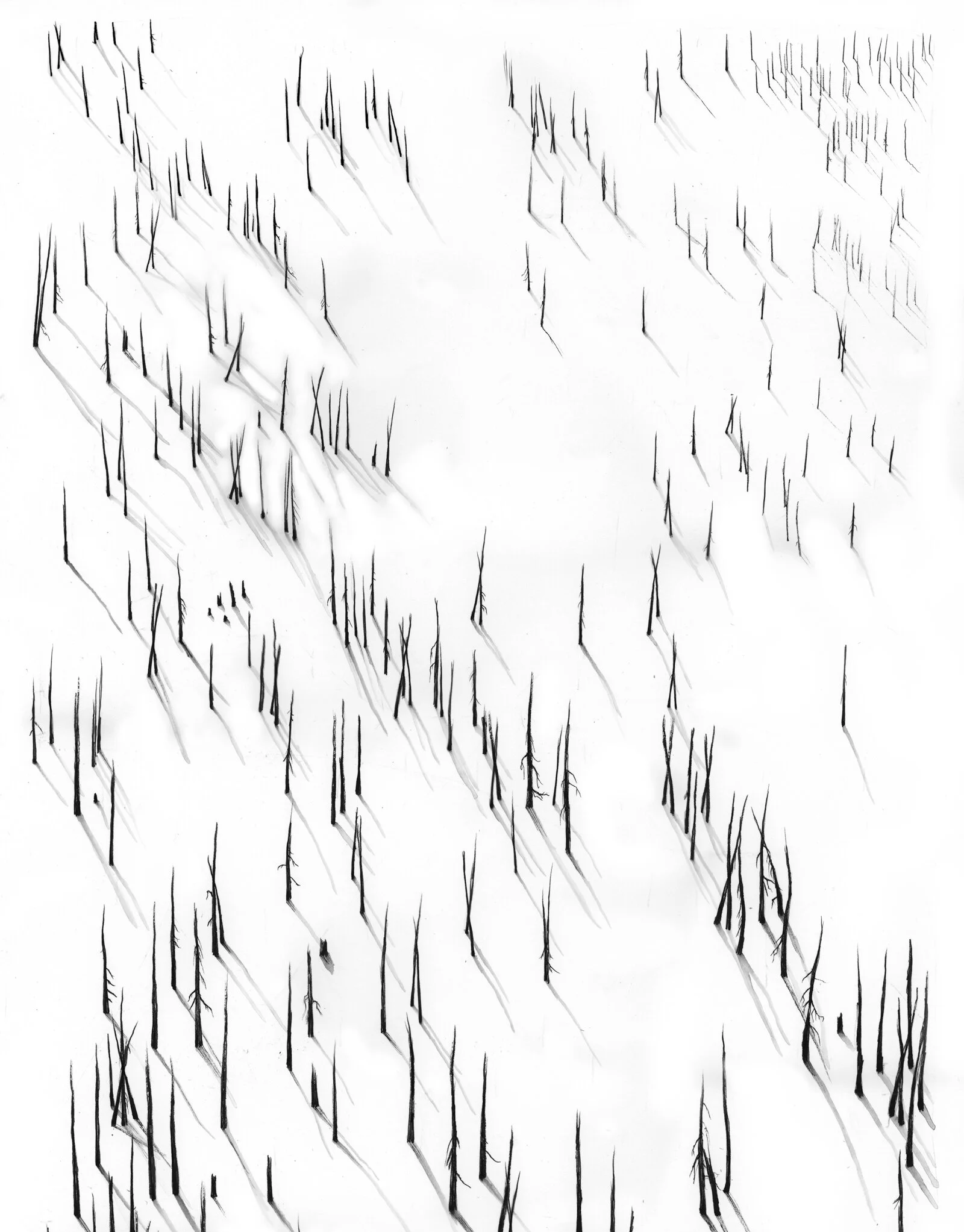 Burn-2-2.jpg