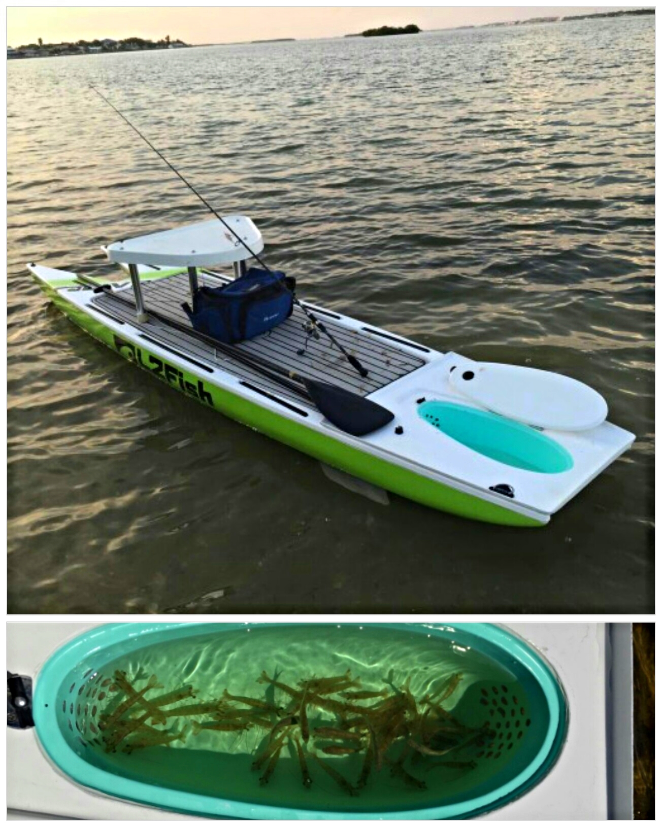 LIVE's L2Fish and L4Expedition can be outfitted with a custom free flow live bait well that fits right on the front or back of the board and allows the water to cycle as you paddle. 