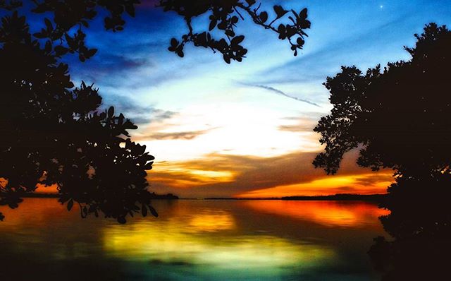 Nighttime reflections
#sunsets #sunset #colorful #florida #lovefl #cleargram #ilovetheburg #instaburg #tampabay #pureflorida #roamflorida #fun_in_florida #liveamplified #stpete #beach #igersstpete #instagram_florida #pinkbucketbeachcollective #welive