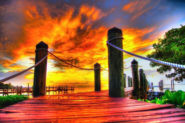 #florida #sunsets #sunset #tampabay #stpete #colorful #lovefl #igersflorida #instagram_florida #roamflorida #pureflorida #fun_in_florida #pinkbucketbeachcollective #welivehere #flogrown #orange #sky