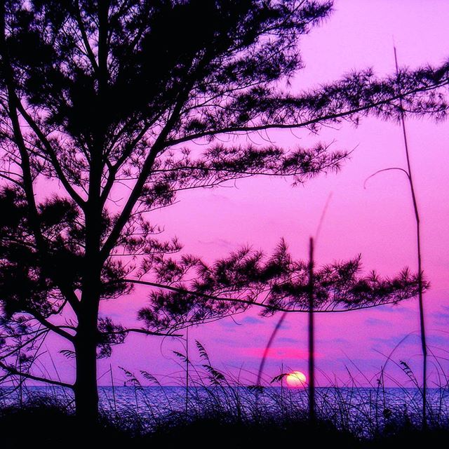 Purple serenity #florida #stpete #tampabay #beach #sunset #sunsets #lovefl #ilovetheburg #instaburg #igersflorida #instagram_florida #pureflorida #roamflorida #fun_in_florida #liveamplified #welivehere #pinkbucketbeachcollective #purple #picoftheday
