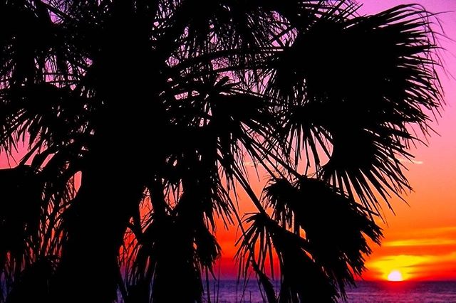 Another Florida beauty #florida #stpete #tampabay #sunset #sunsets #ilovetheburg #instaburg #cleargram #lovefl #liveamplified #igersflorida #instagram_florida #welivehere #pureflorida #roamflorida #fun_in_florida #pinkbucketbeachcollective #colorful 