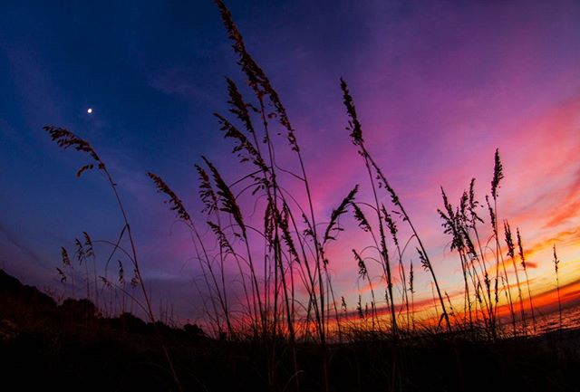 Colorful night #florida #sunset #sunsets #lovefl #ilovetheburg #instaburg #igersflorida #instagram_florida #liveamplified #cleargram #roamflorida #pureflorida #fun_in_florida #welivehere #colorful #photooftheday #stpete #stpetebeach #tampabay #pinkbu