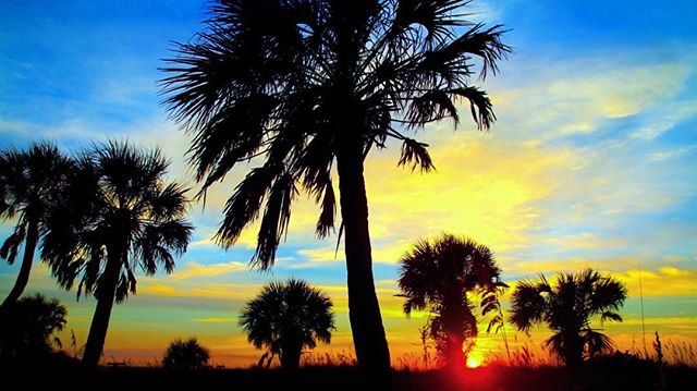 As the sun goes down...#florida #sunset #sunsets #stpete #beach #lovefl #ilovetheburg #instaburg #instagram_florida #igersflorida #igersstpete #cleargram #instagood #pureflorida #roamflorida #fun_in_florida #liveamplified #tampabay #photooftheday