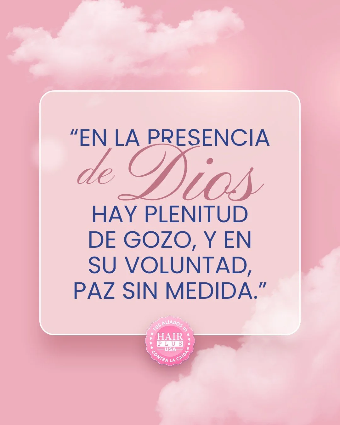 Tu gozo no nace de lo que tienes, sino de a quien perteneces.

Cuando recuerdas que eres hijo(a) del Rey, todo cambia.