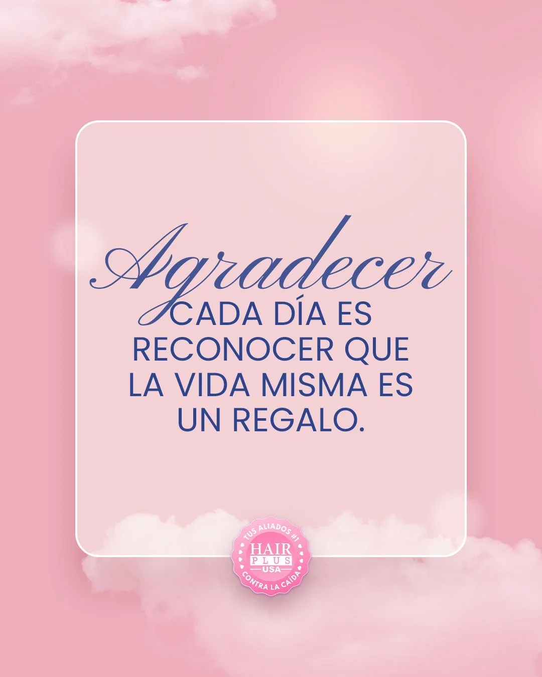 Hoy no necesito m&aacute;s, solo un coraz&oacute;n dispuesto a agradecer 💛
#GratitudDiaria #NovembreConFe