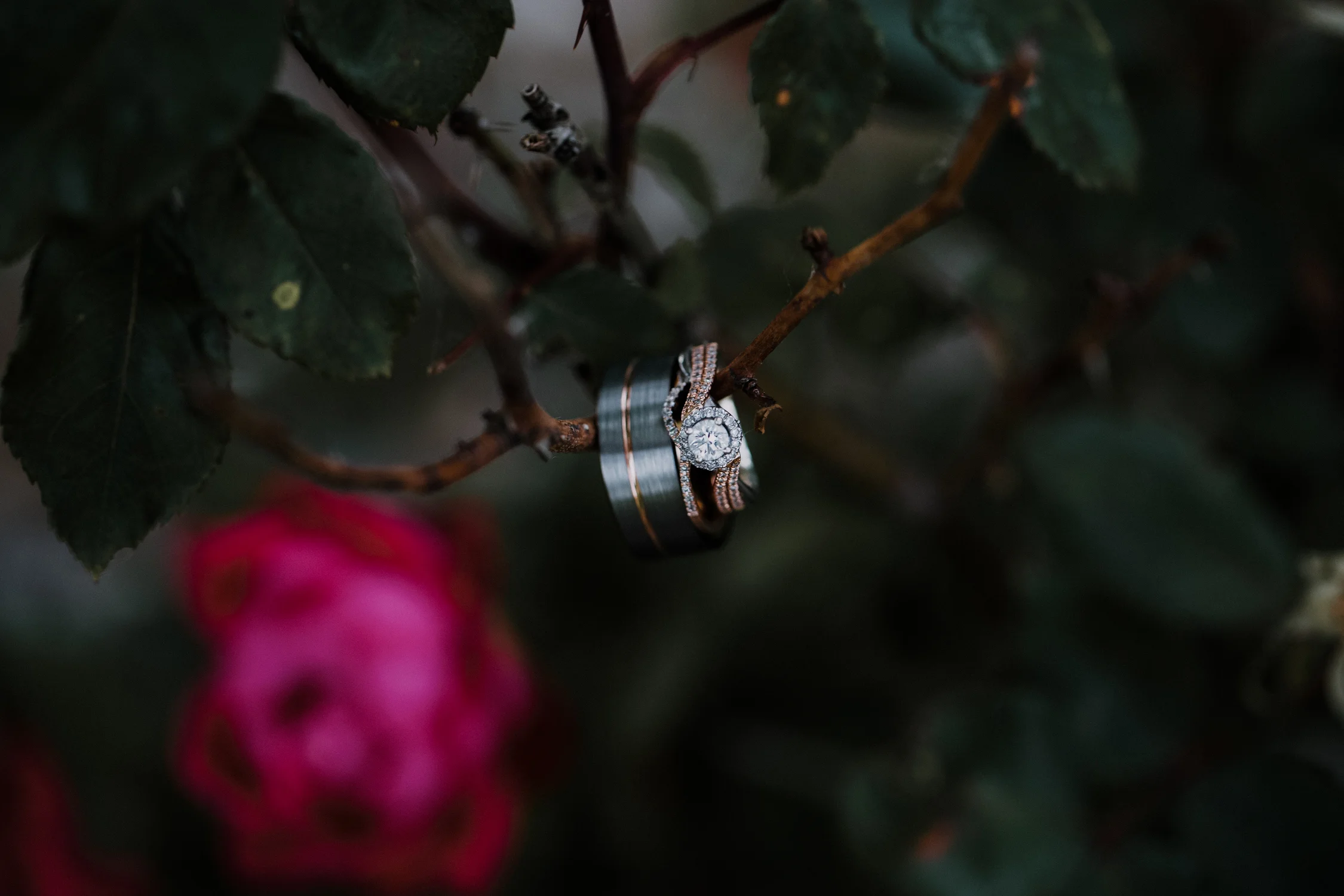 17-0527-Brian+Marisa_SE-6.jpg
