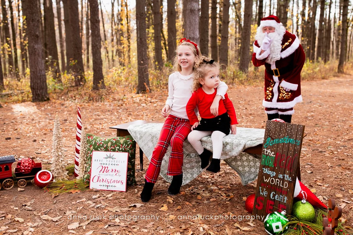 Santa Minis_Watermarked-04.jpg
